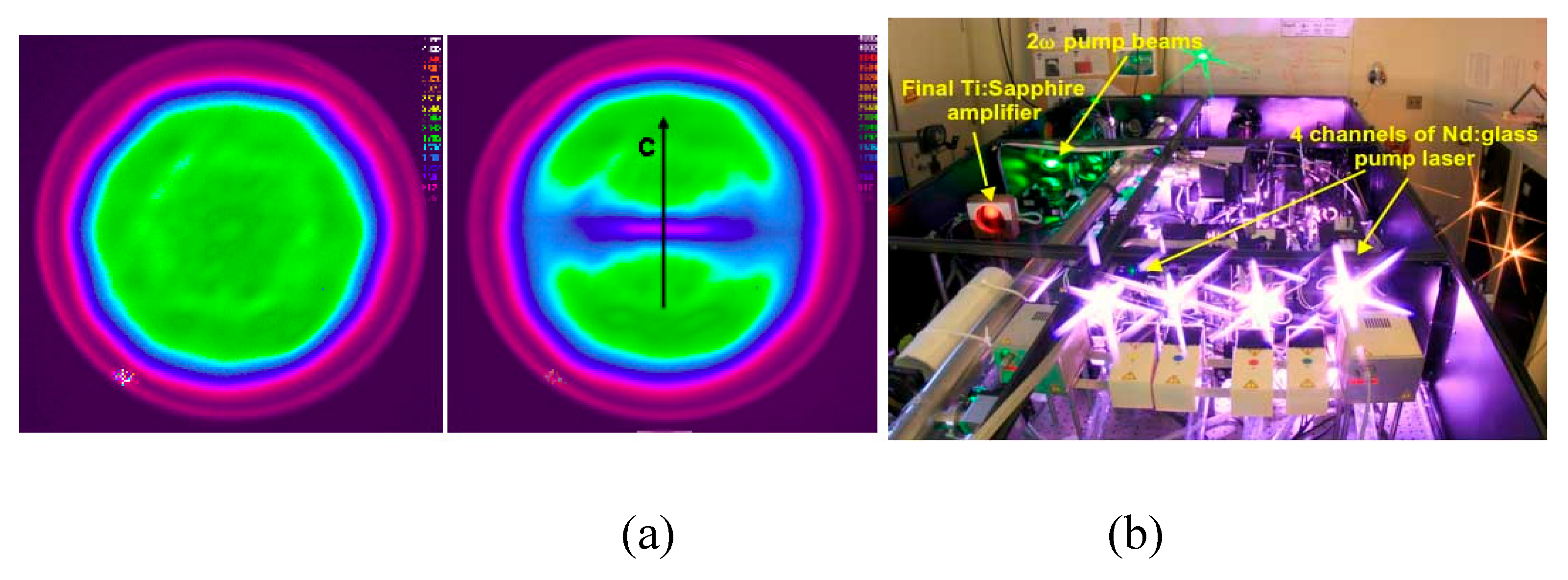 Preprints 109145 g007