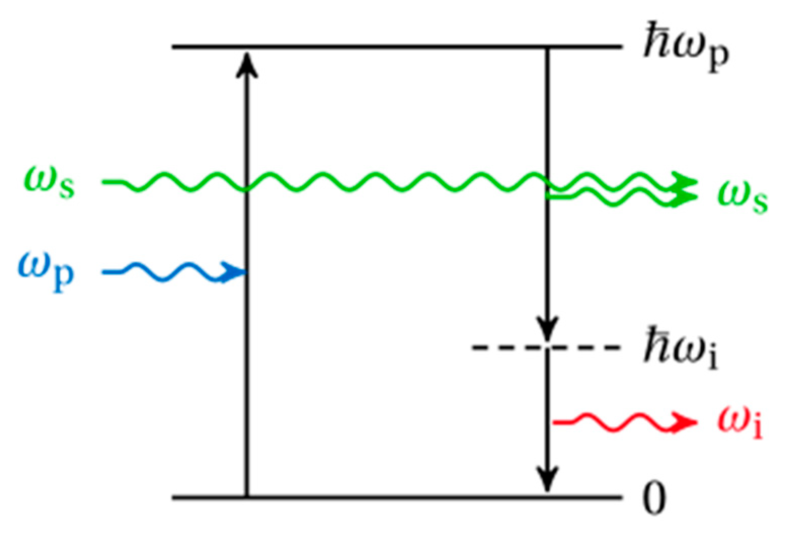 Preprints 109145 g008