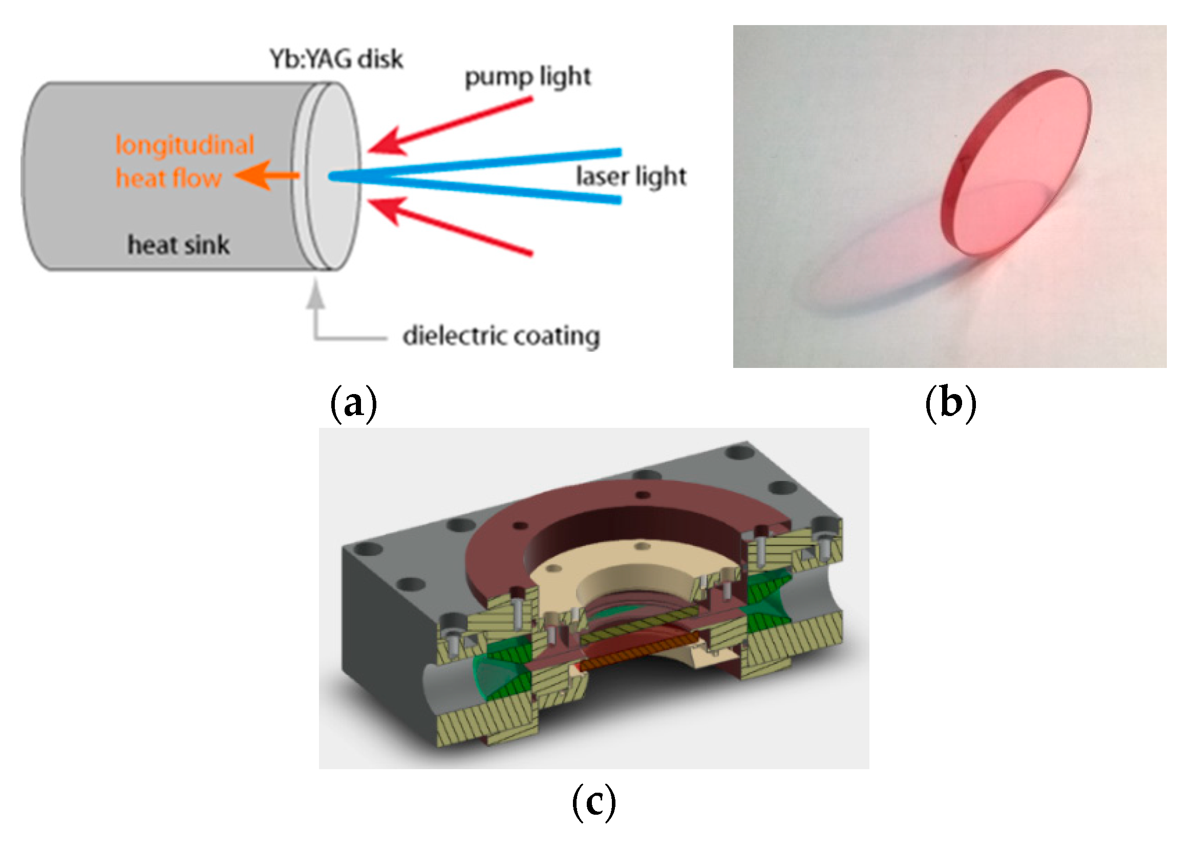 Preprints 109145 g009