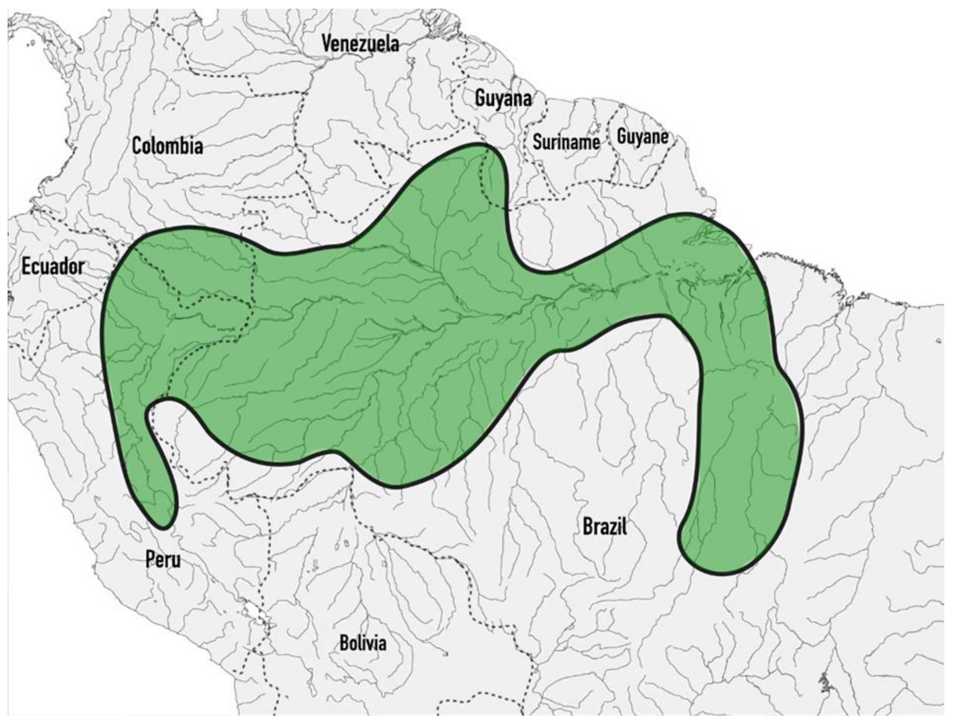 Preprints 122056 g002