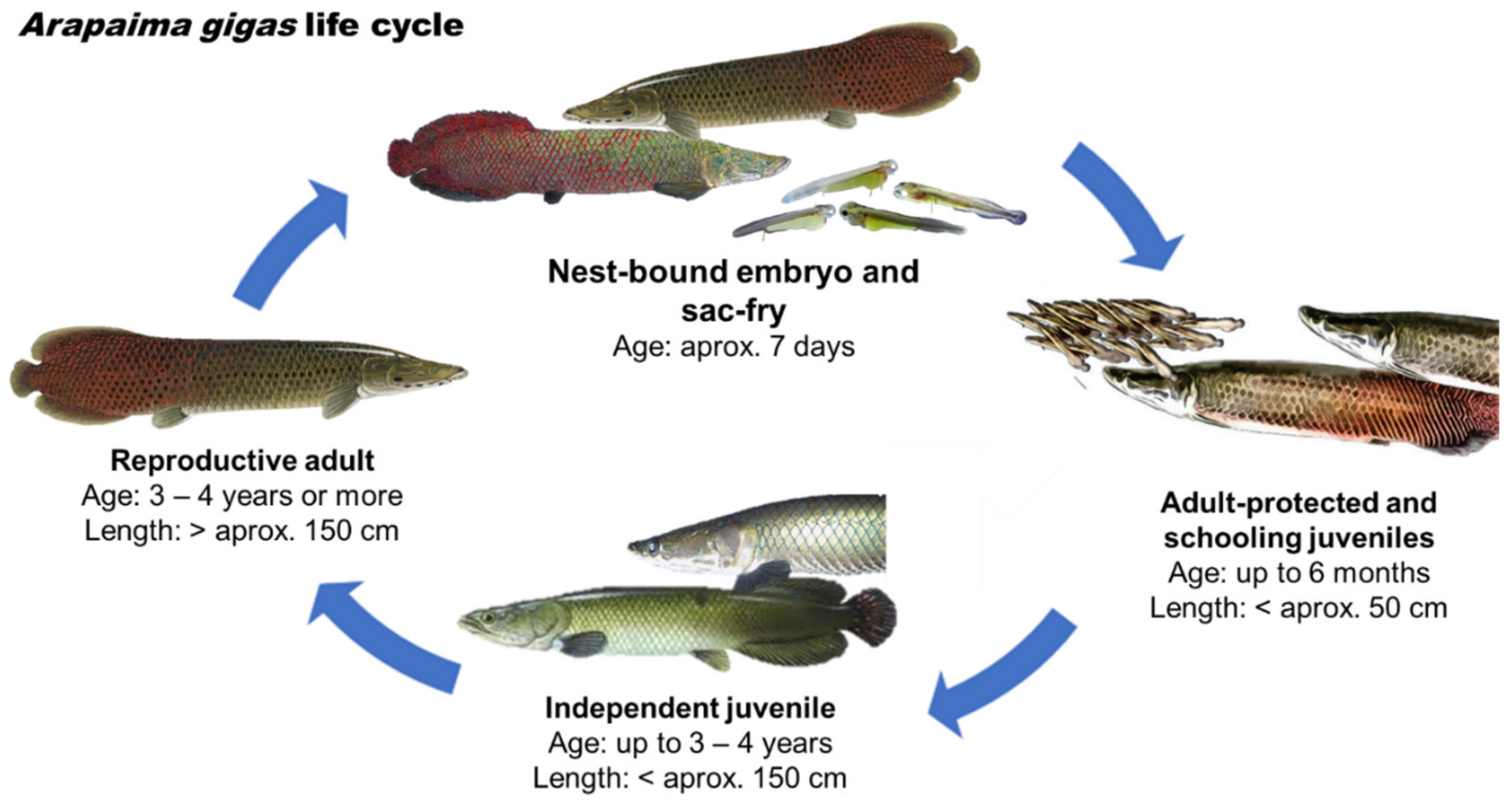 Preprints 122056 g003