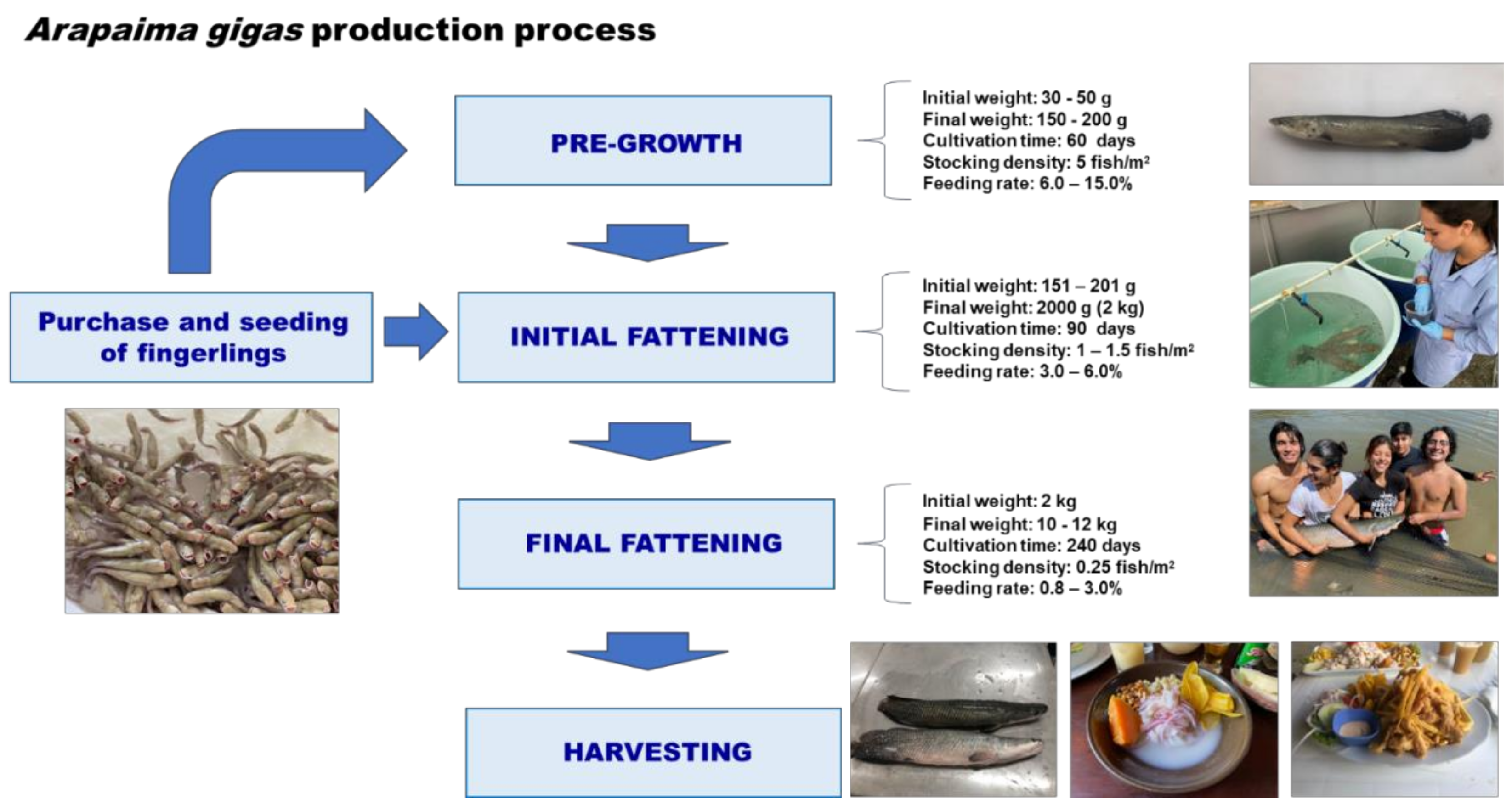 Preprints 122056 g004