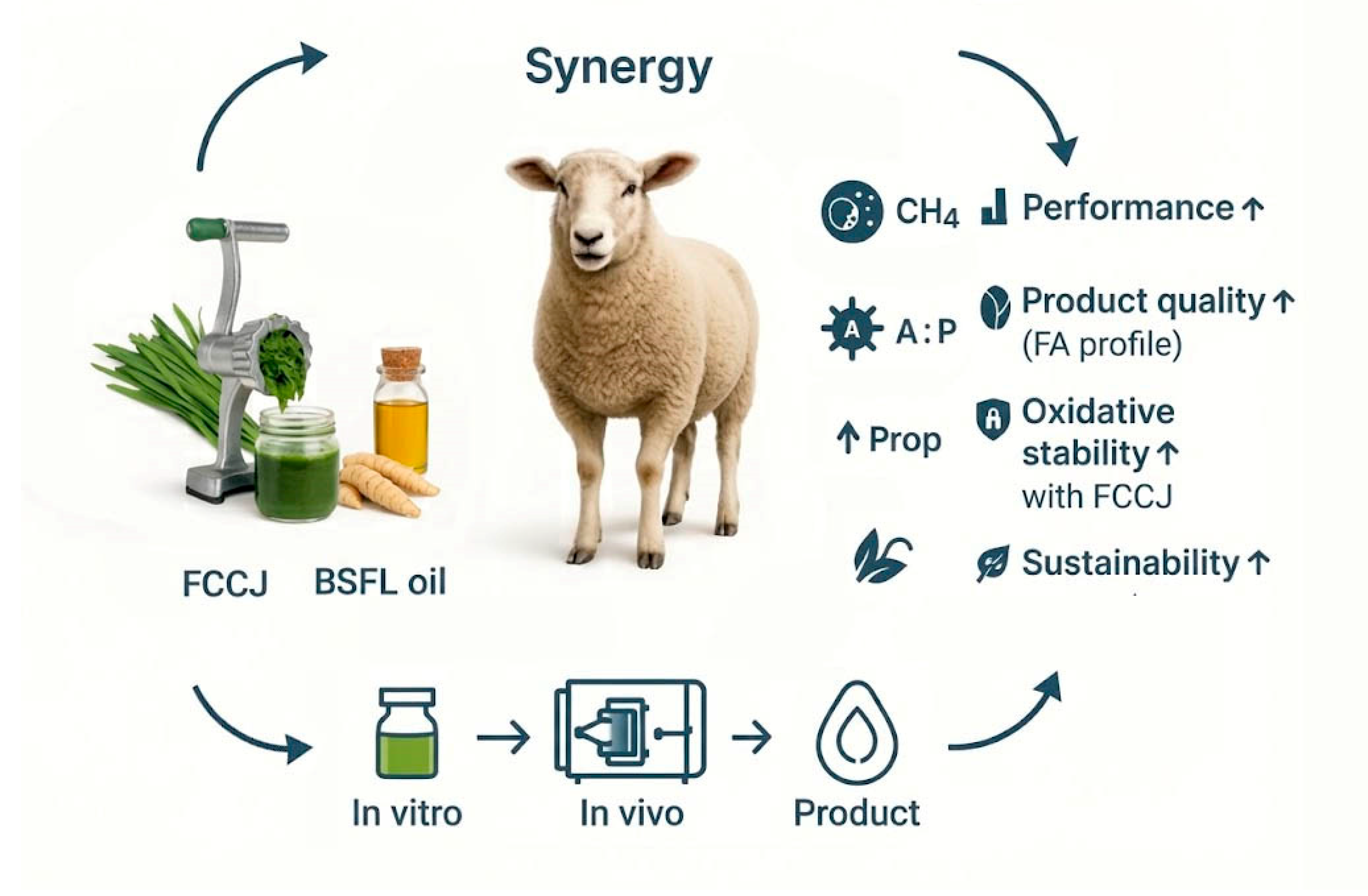 Preprints 195394 g001