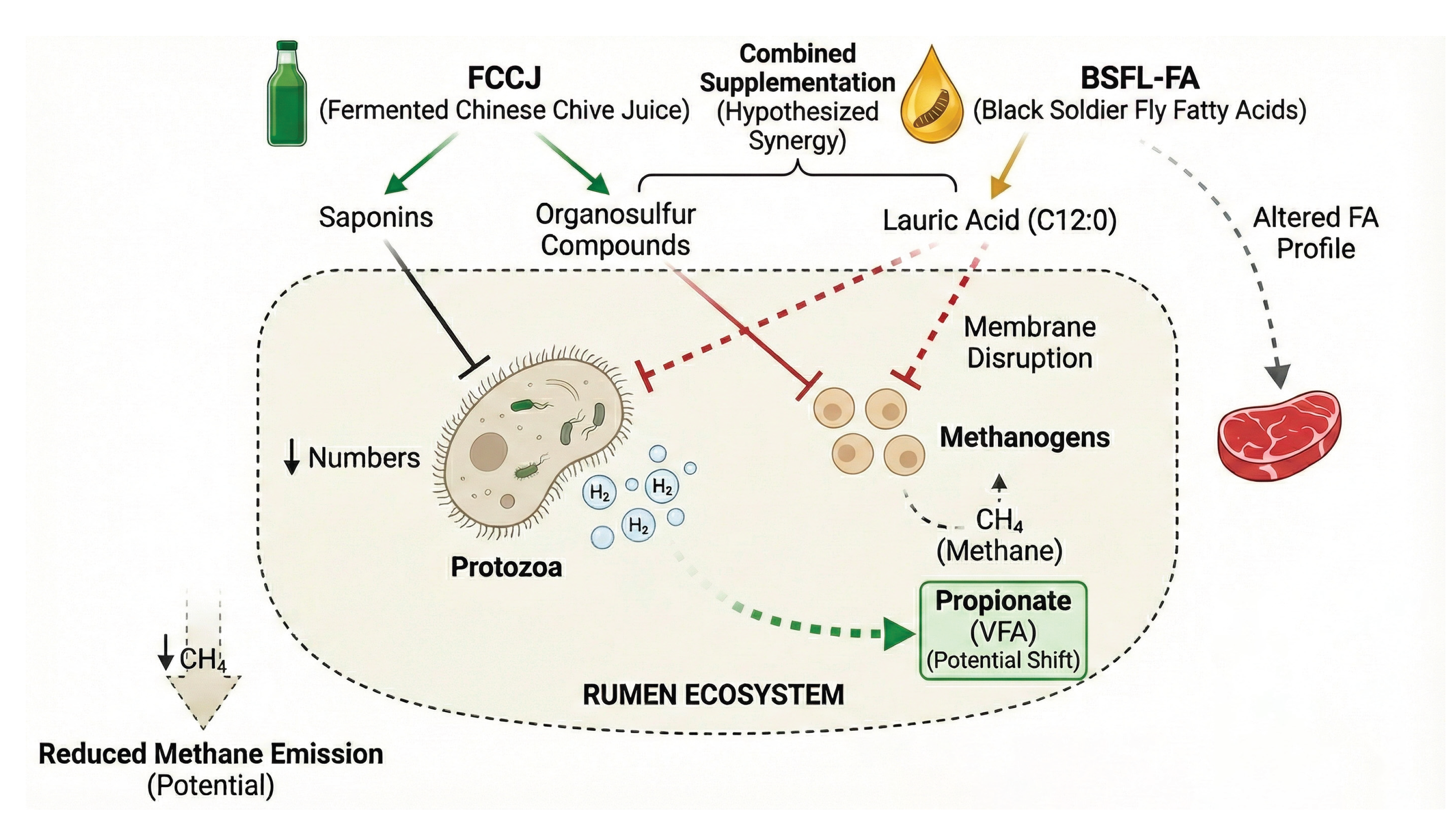 Preprints 195394 g002