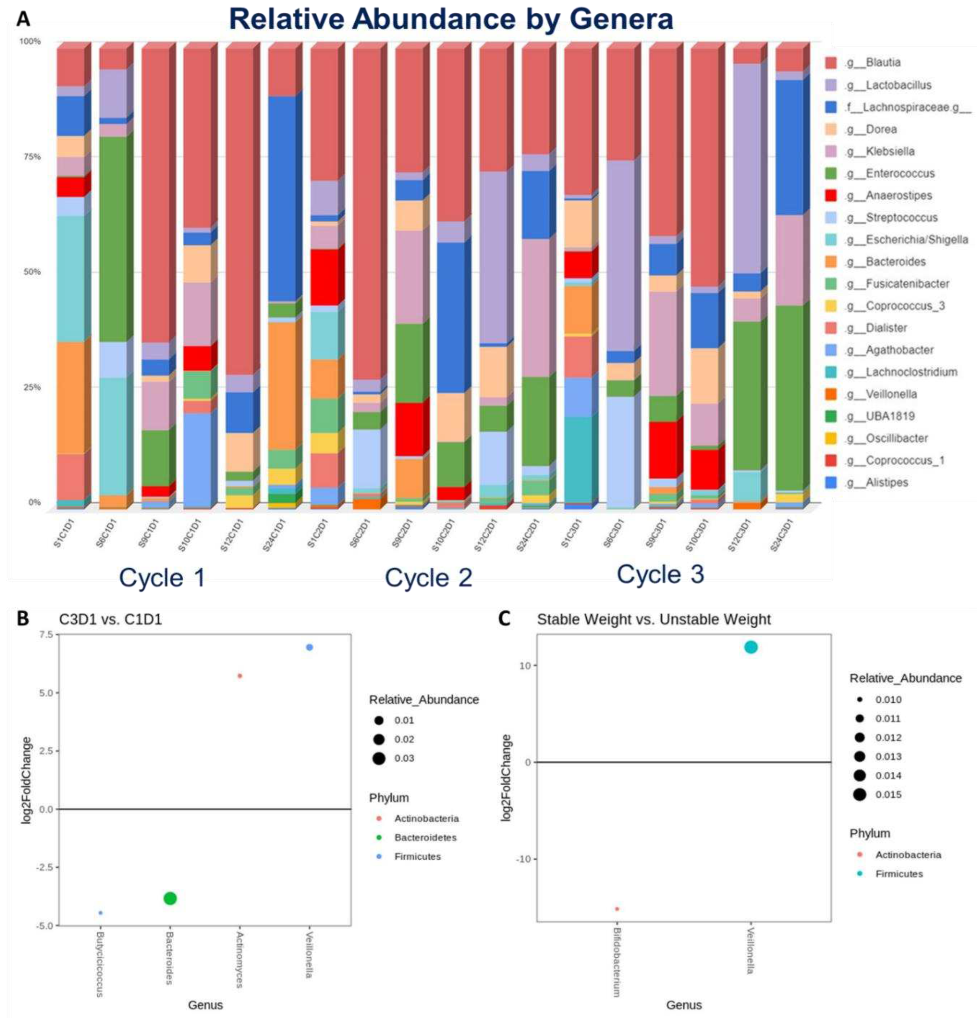 Preprints 95865 g001