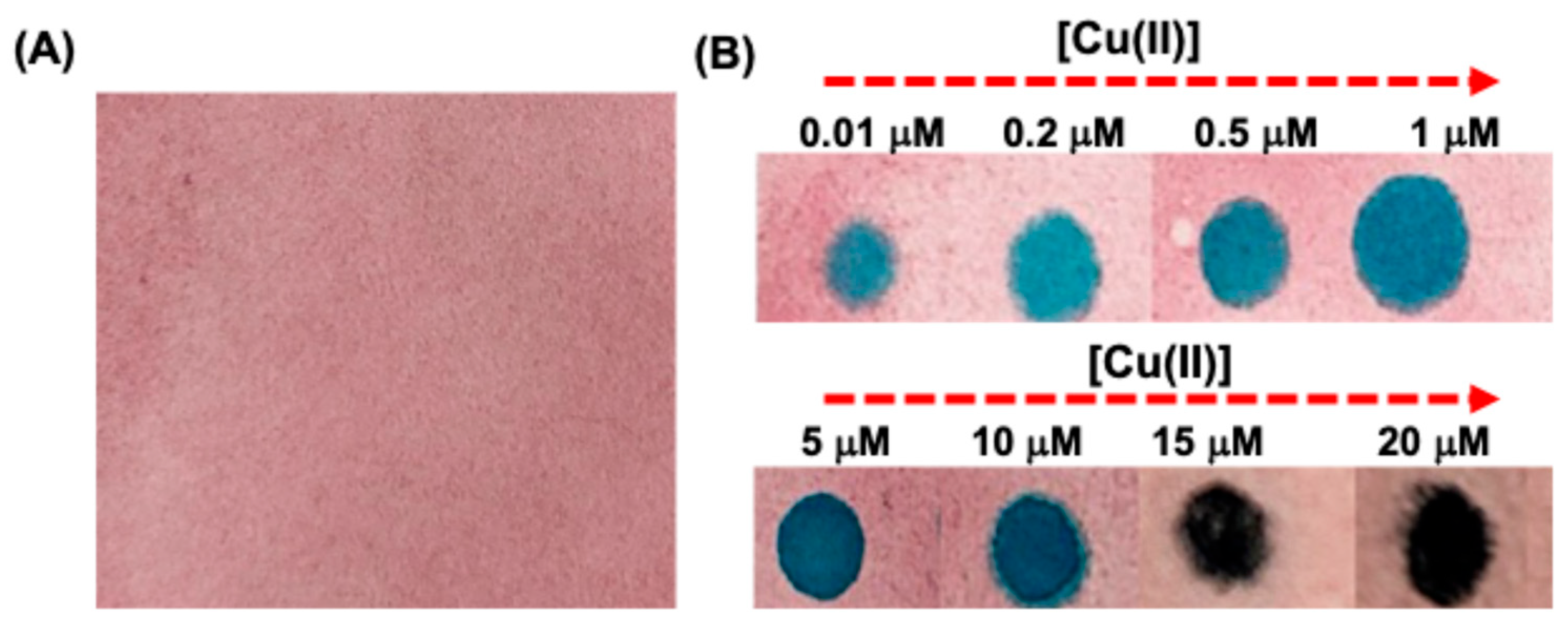 Preprints 172422 g005