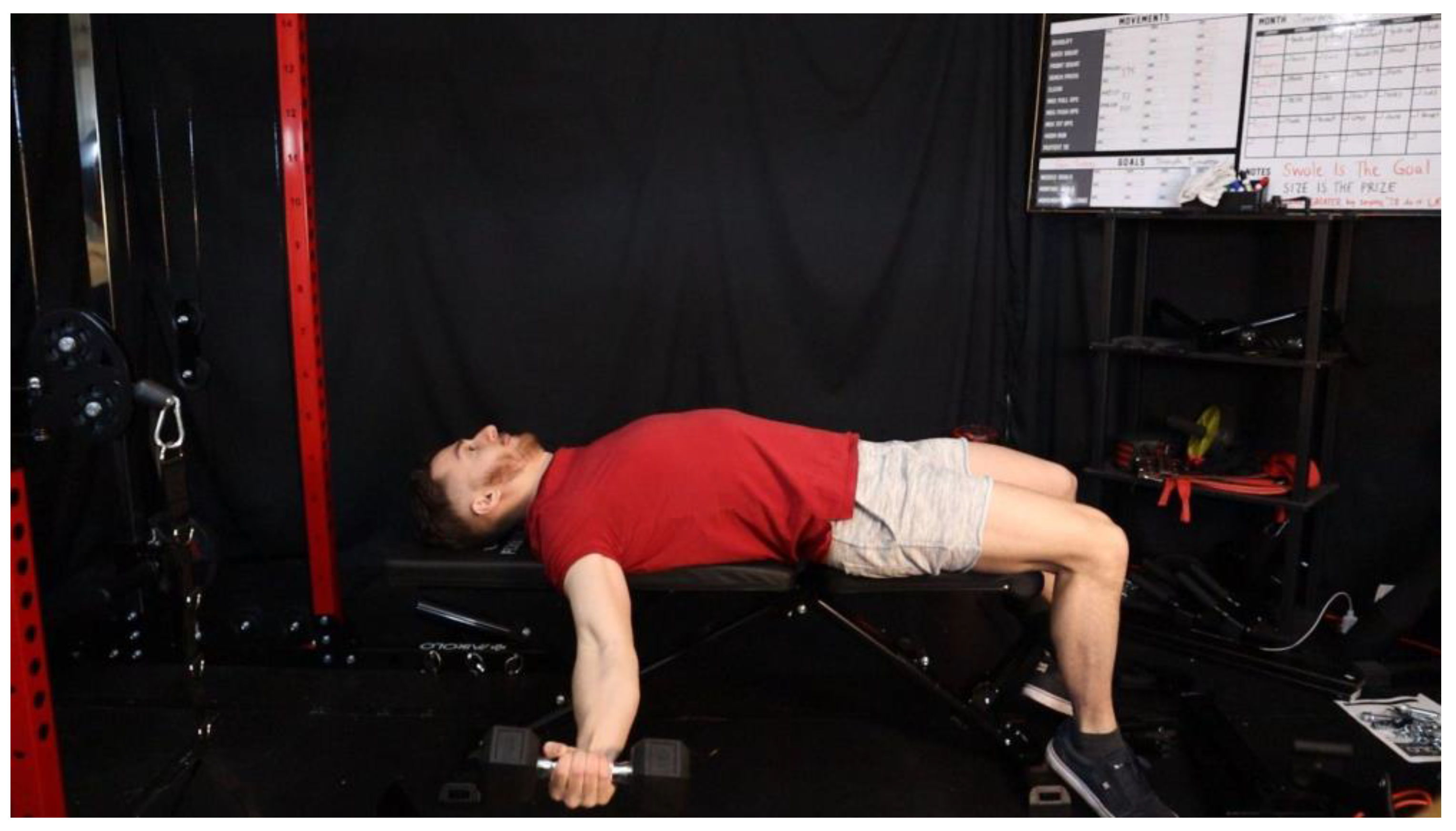 Preprints 163205 g002