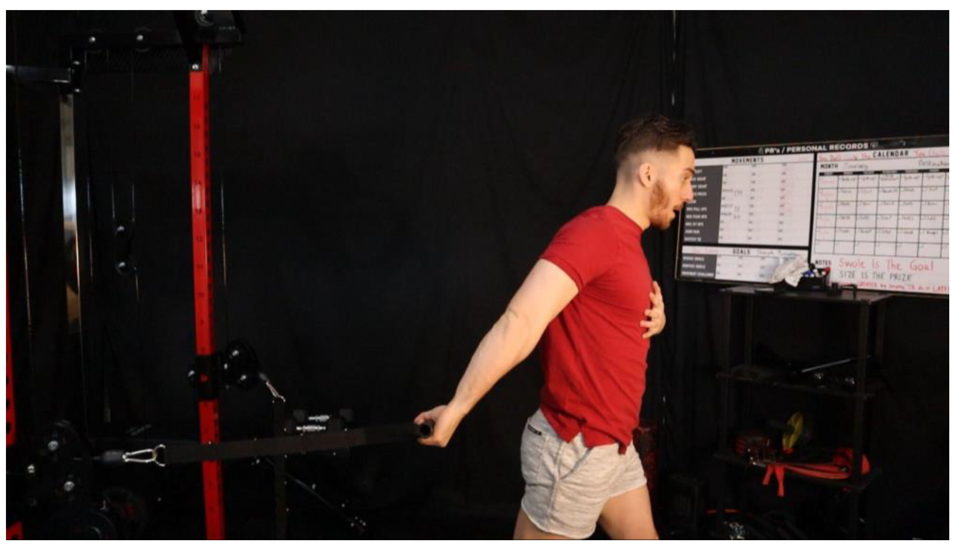 Preprints 163205 g008