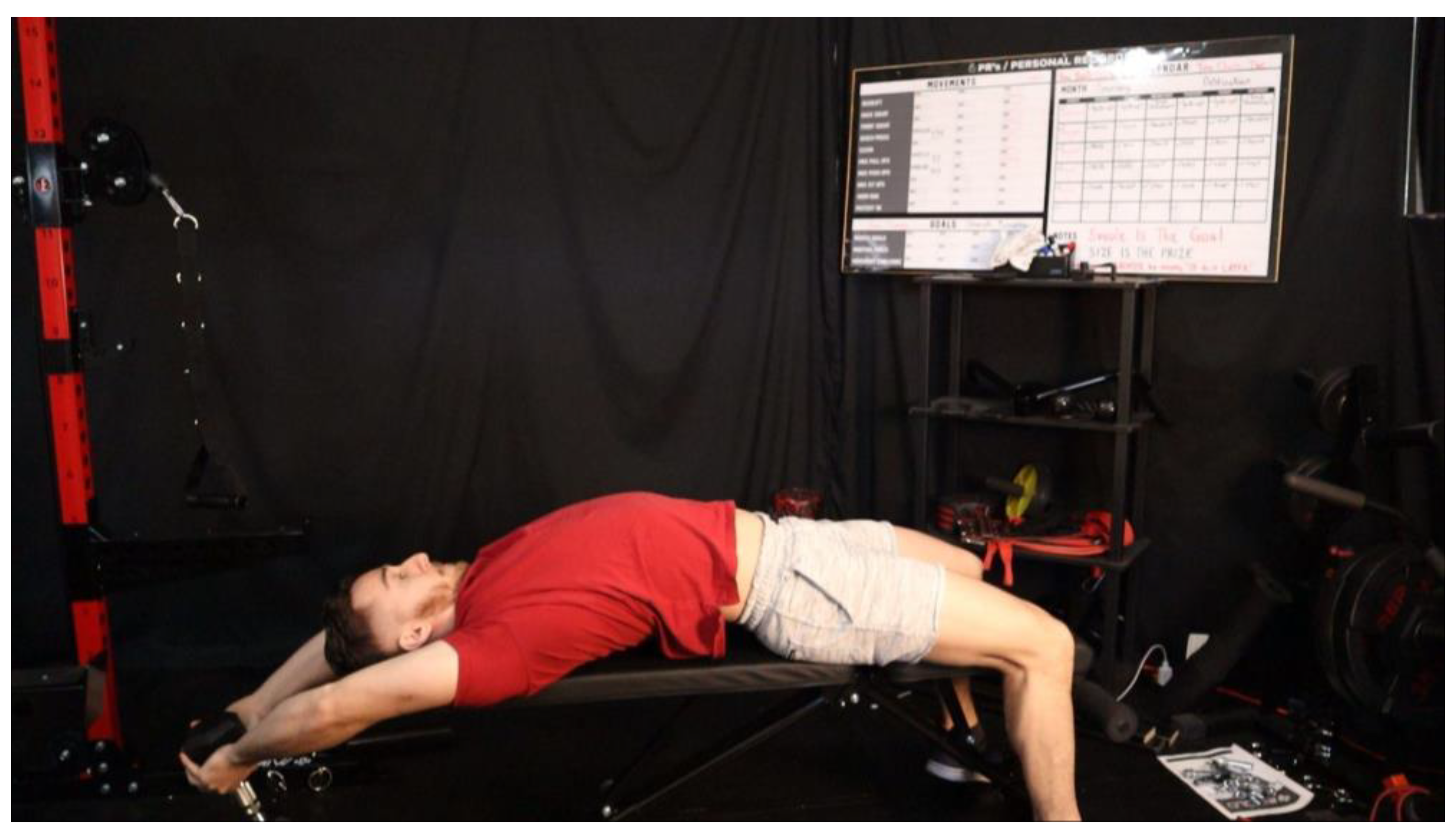 Preprints 163205 g018