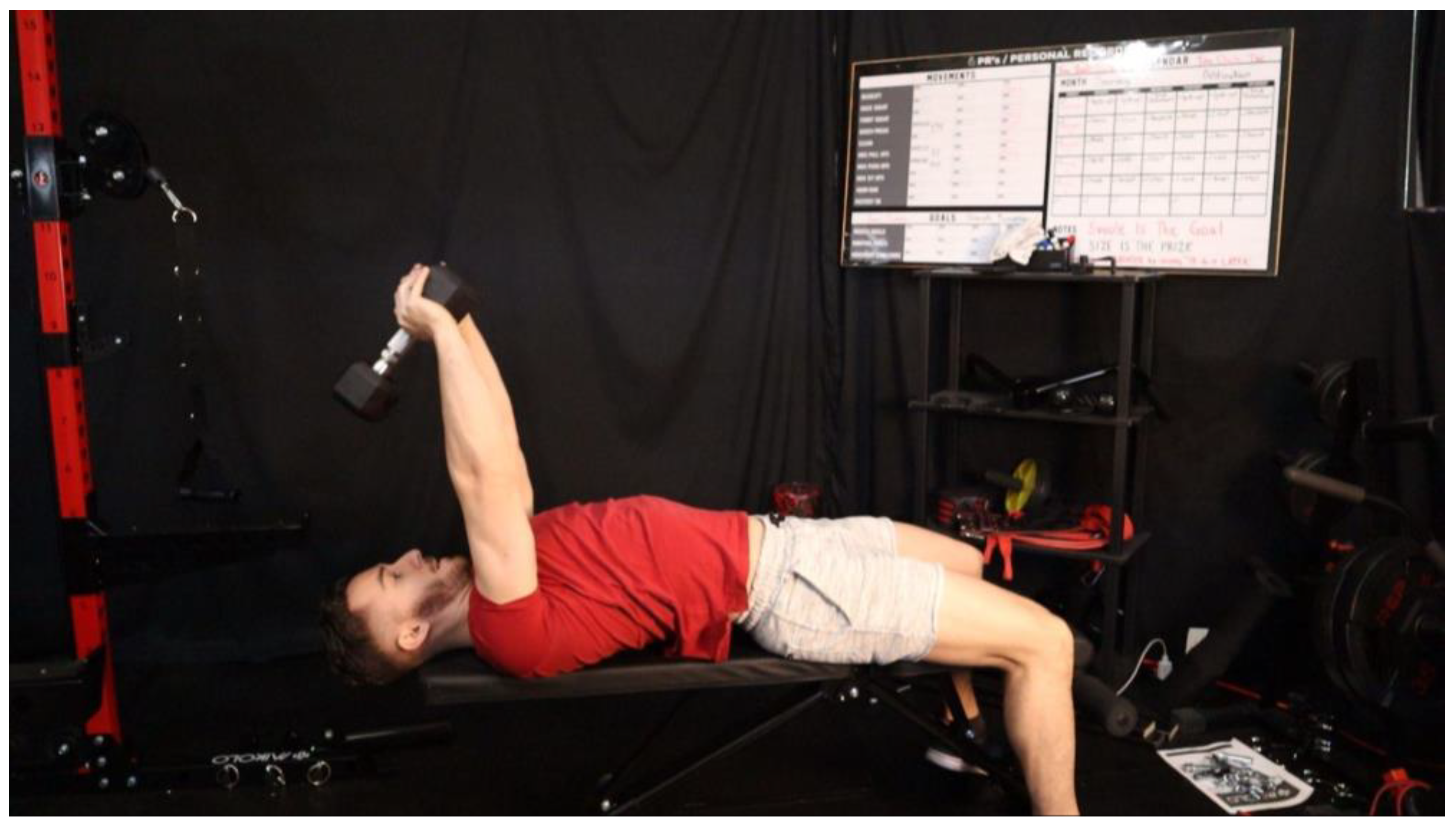 Preprints 163205 g019