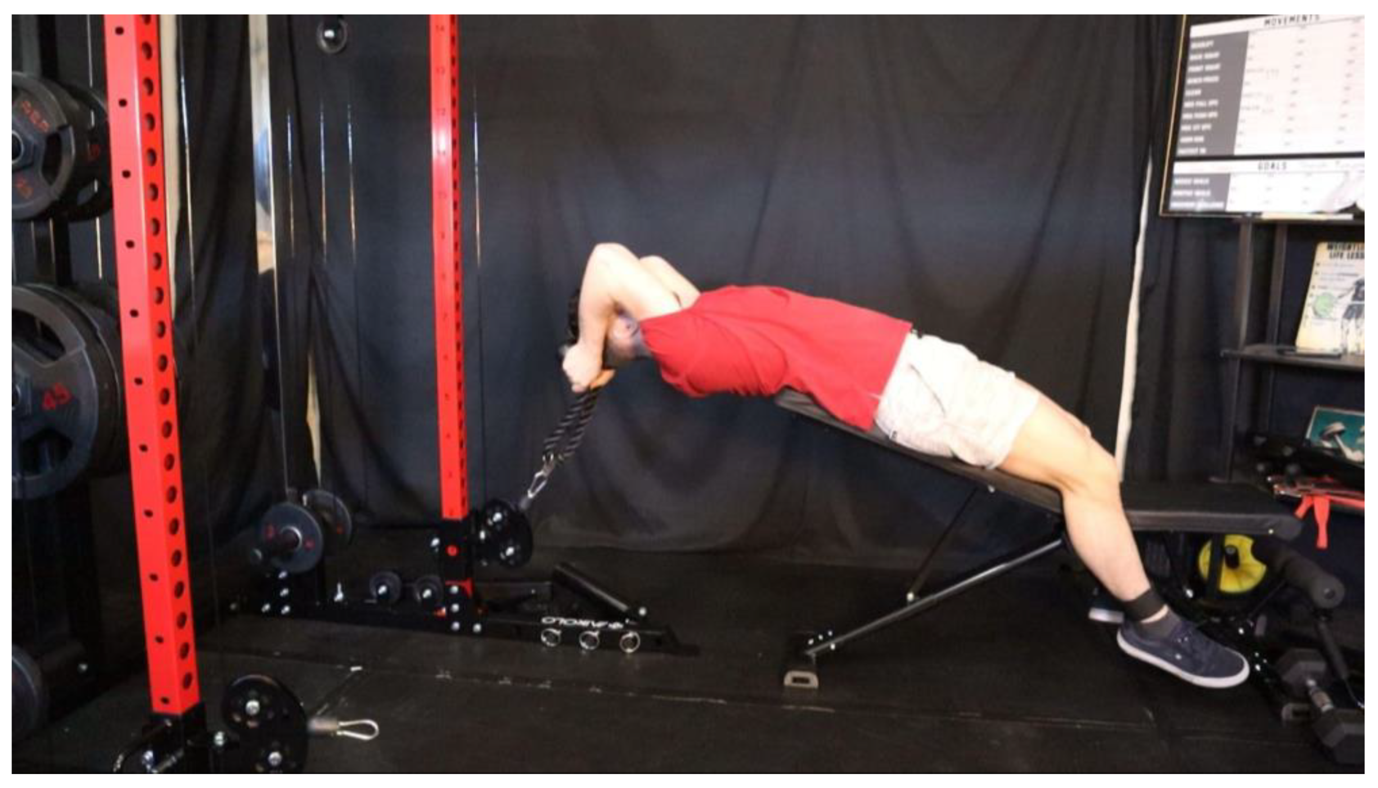 Preprints 163205 g028