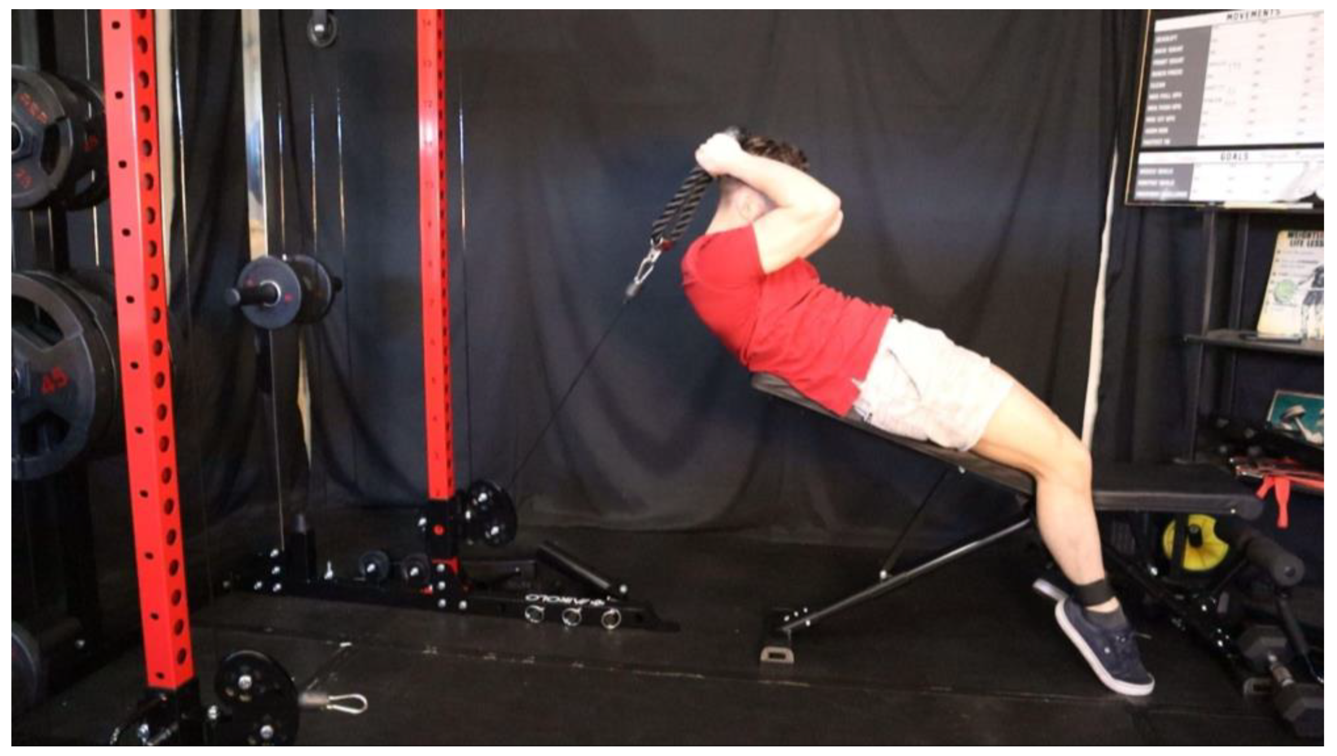 Preprints 163205 g029