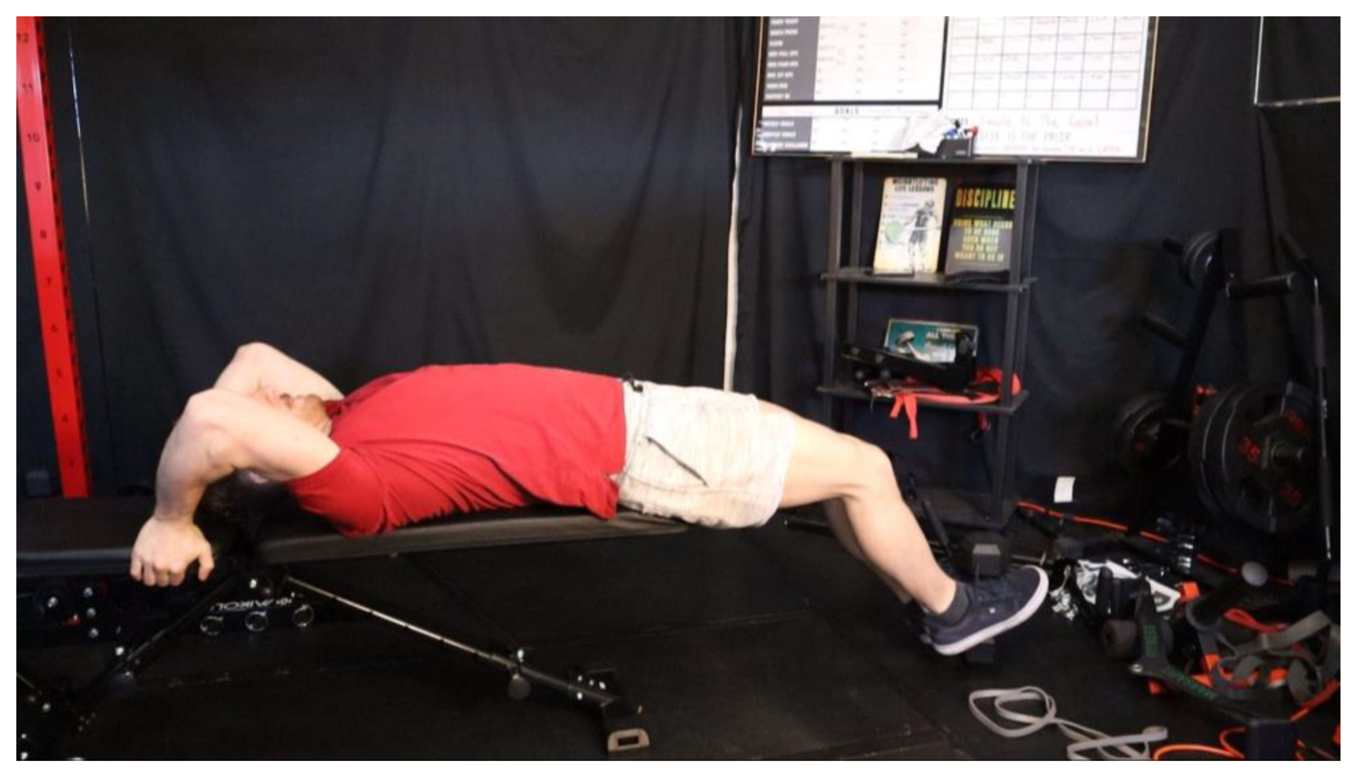 Preprints 163205 g031