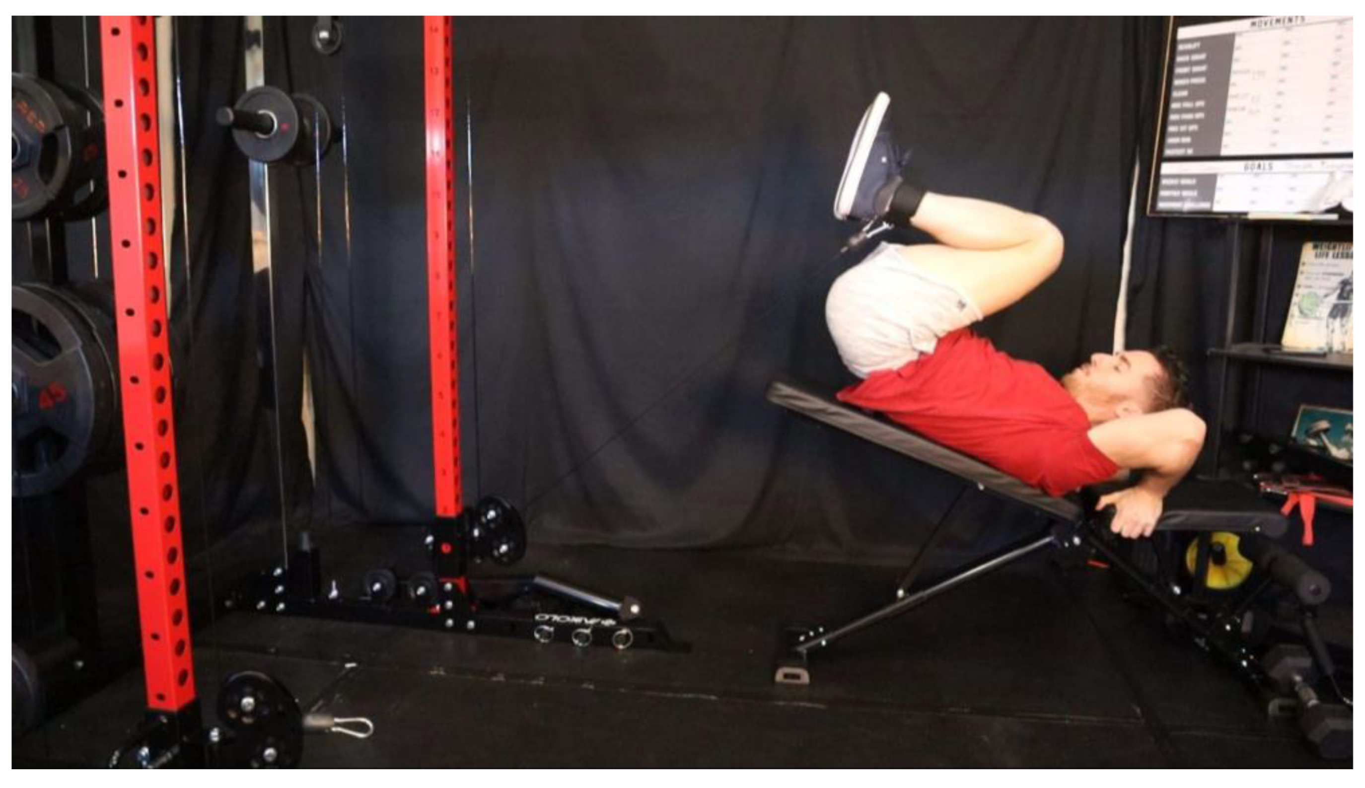 Preprints 163205 g033