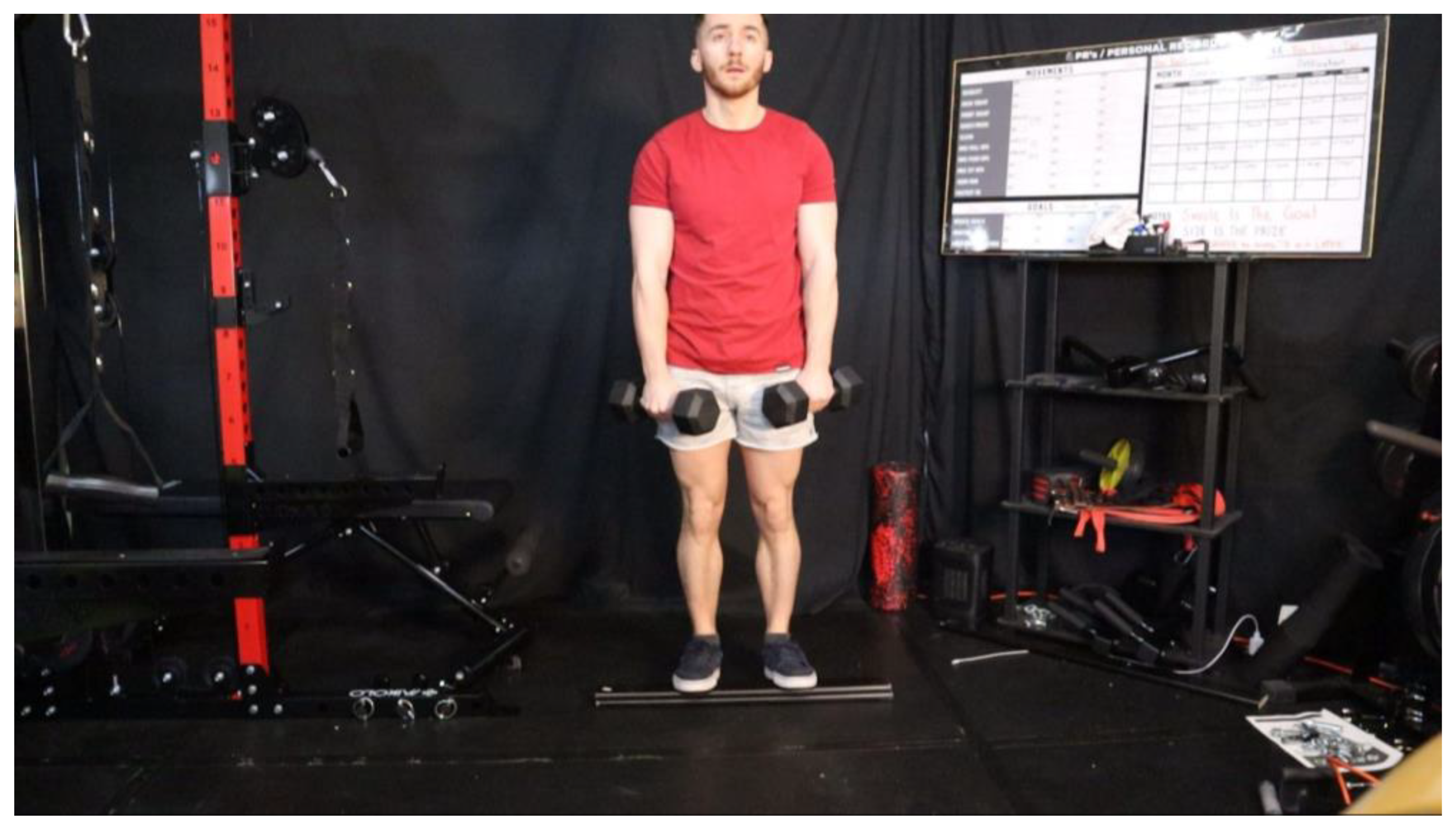 Preprints 163205 g038