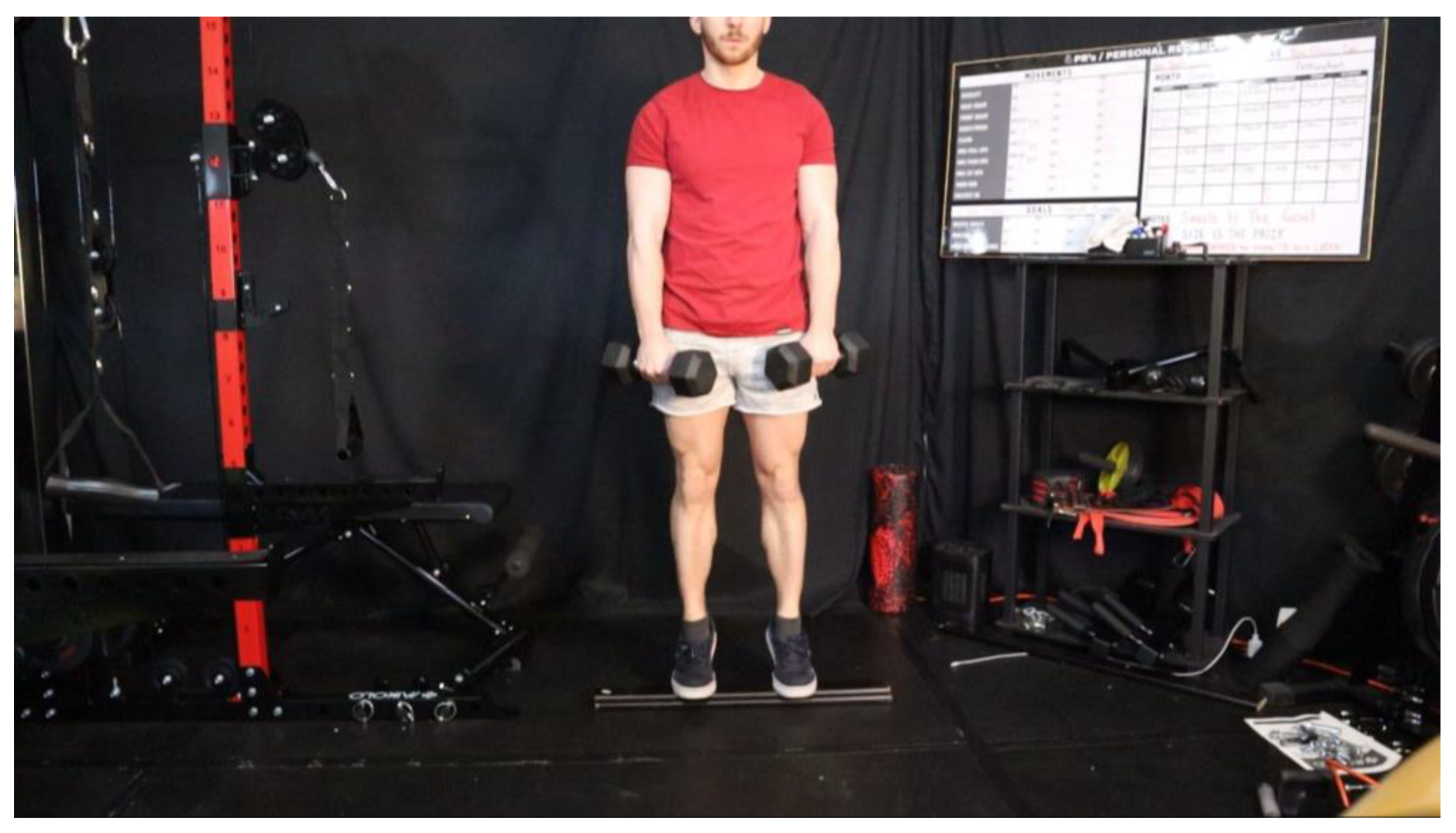 Preprints 163205 g039