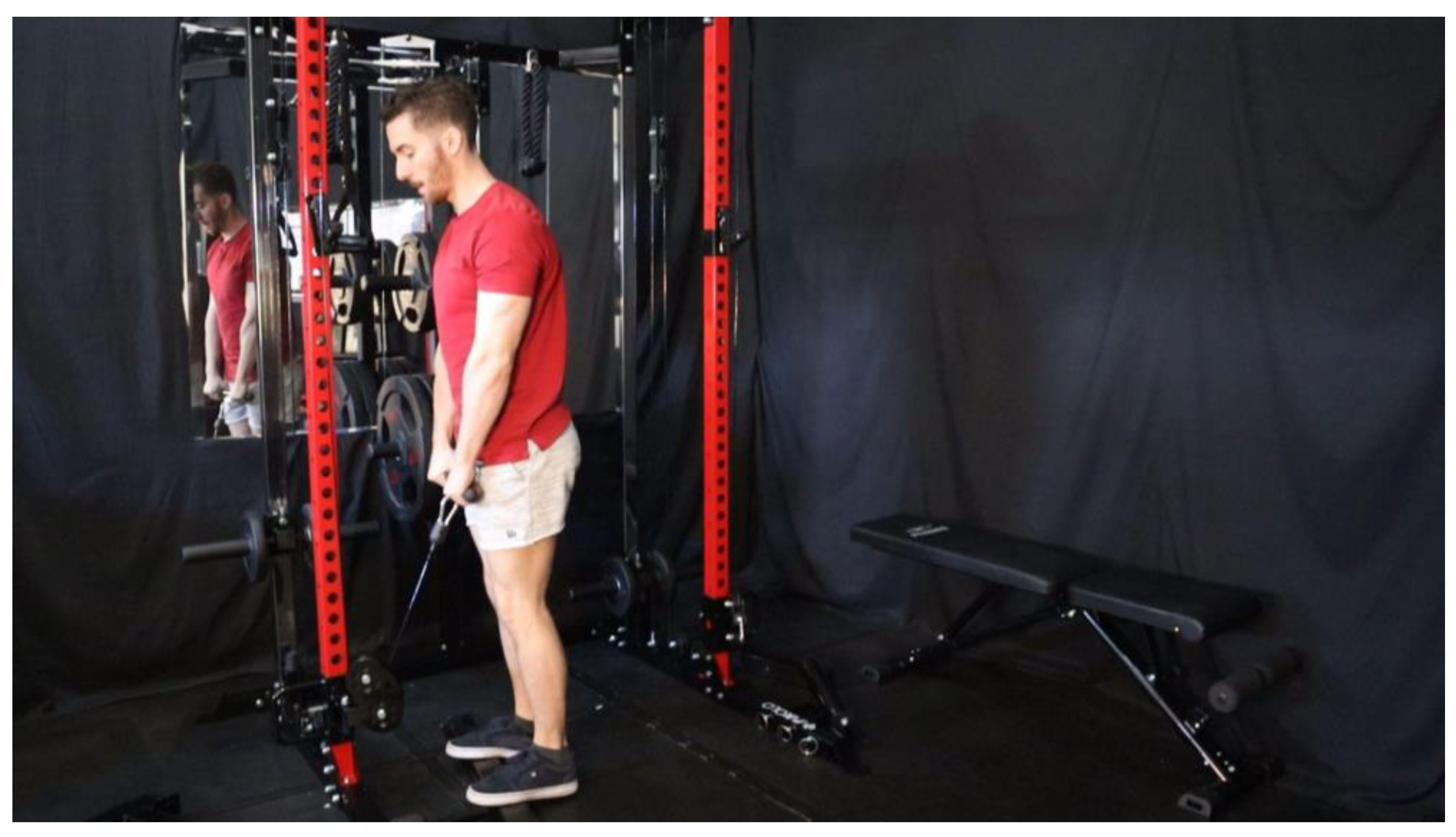 Preprints 163205 g040