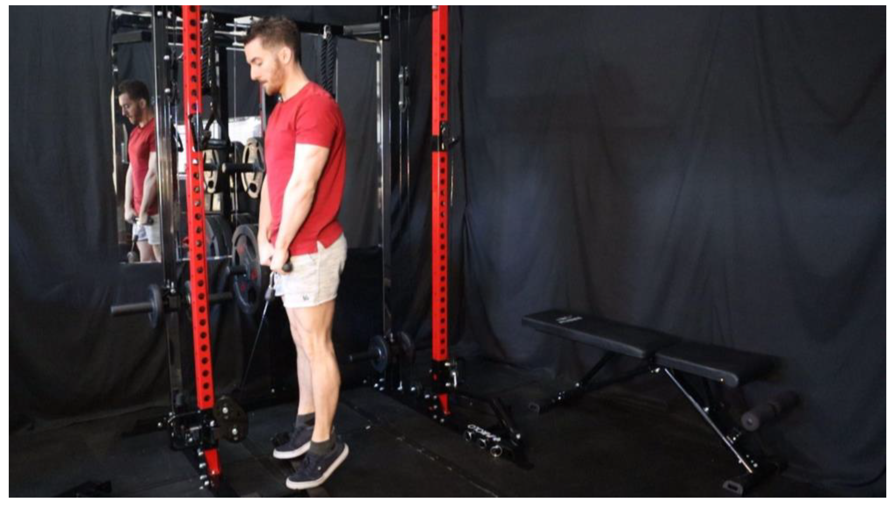 Preprints 163205 g041