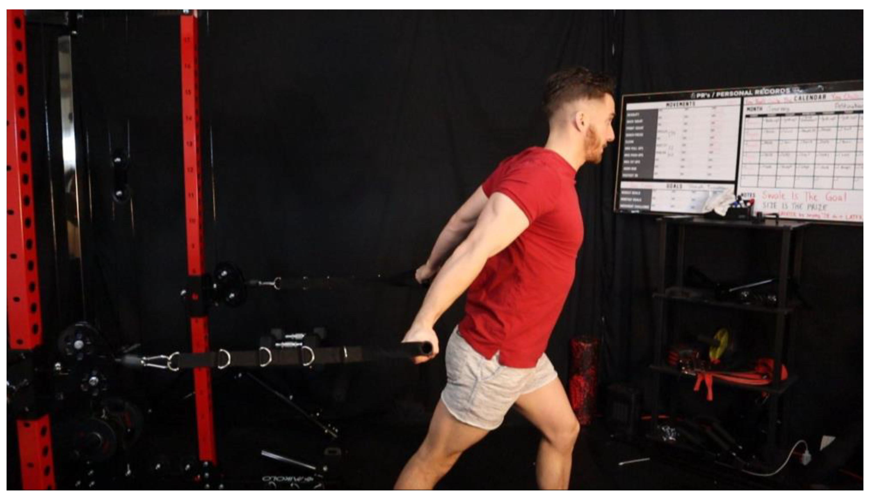 Preprints 163205 g044