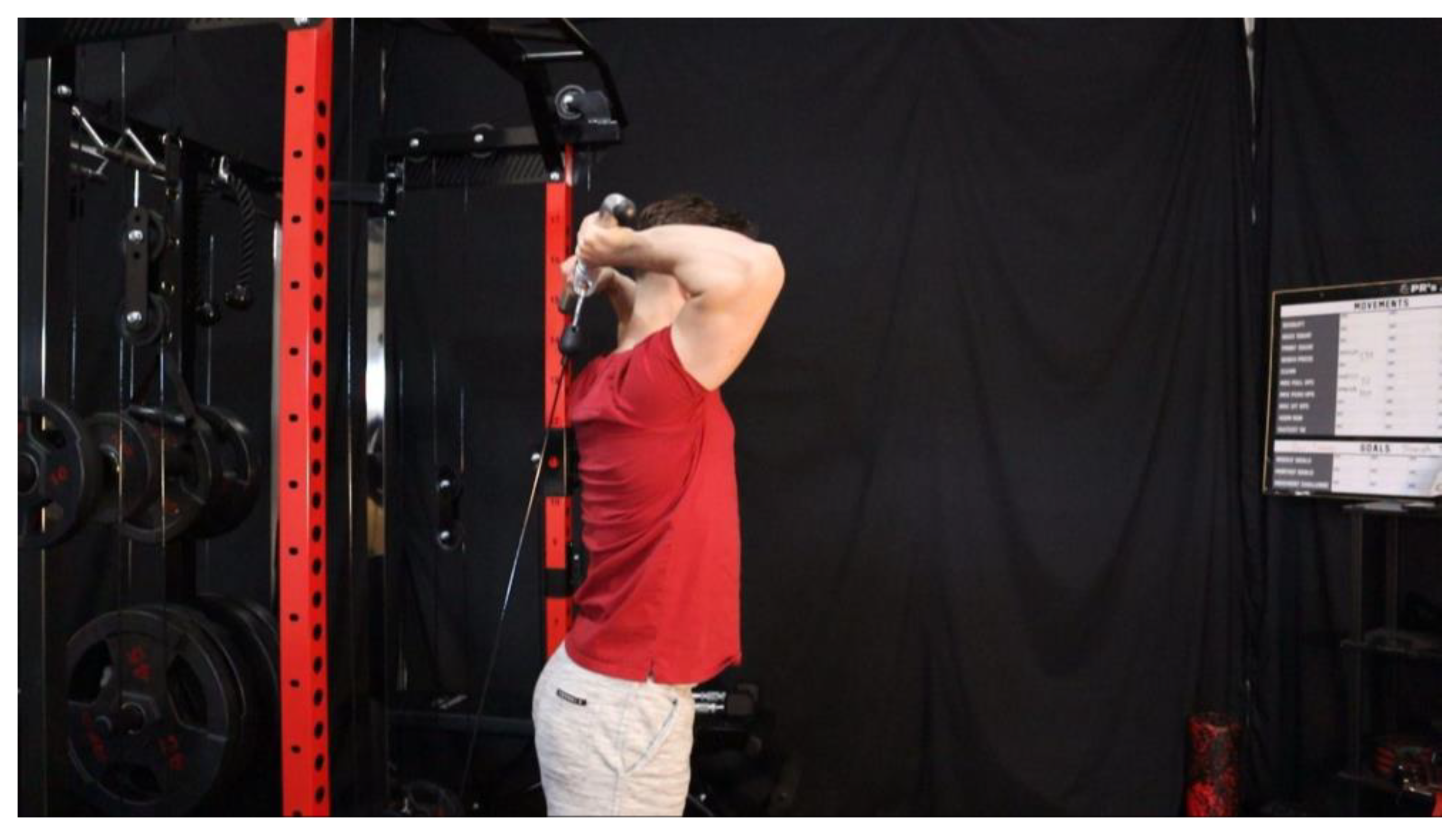 Preprints 163205 g048