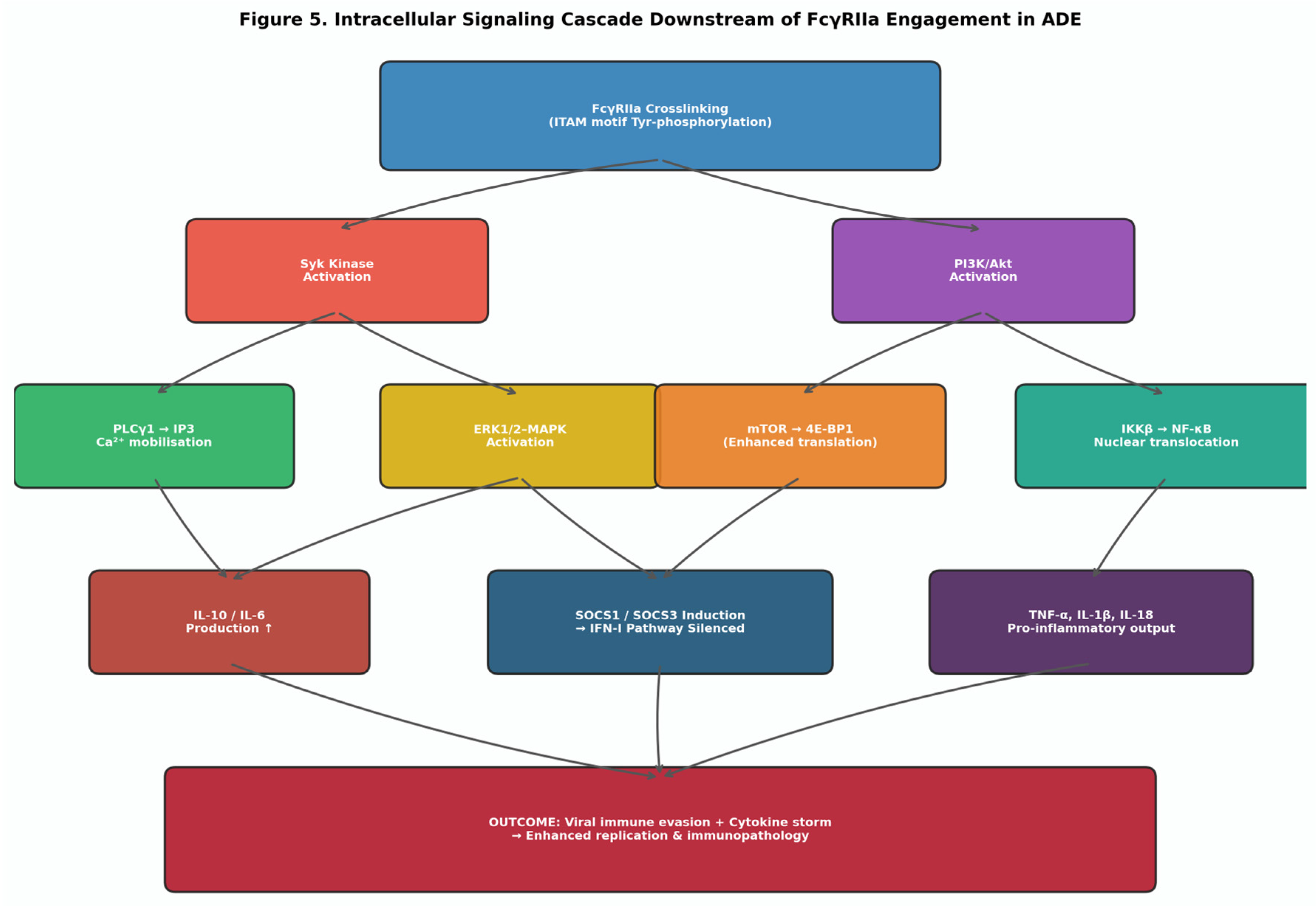 Preprints 206770 g005 Preprints 206770 g005