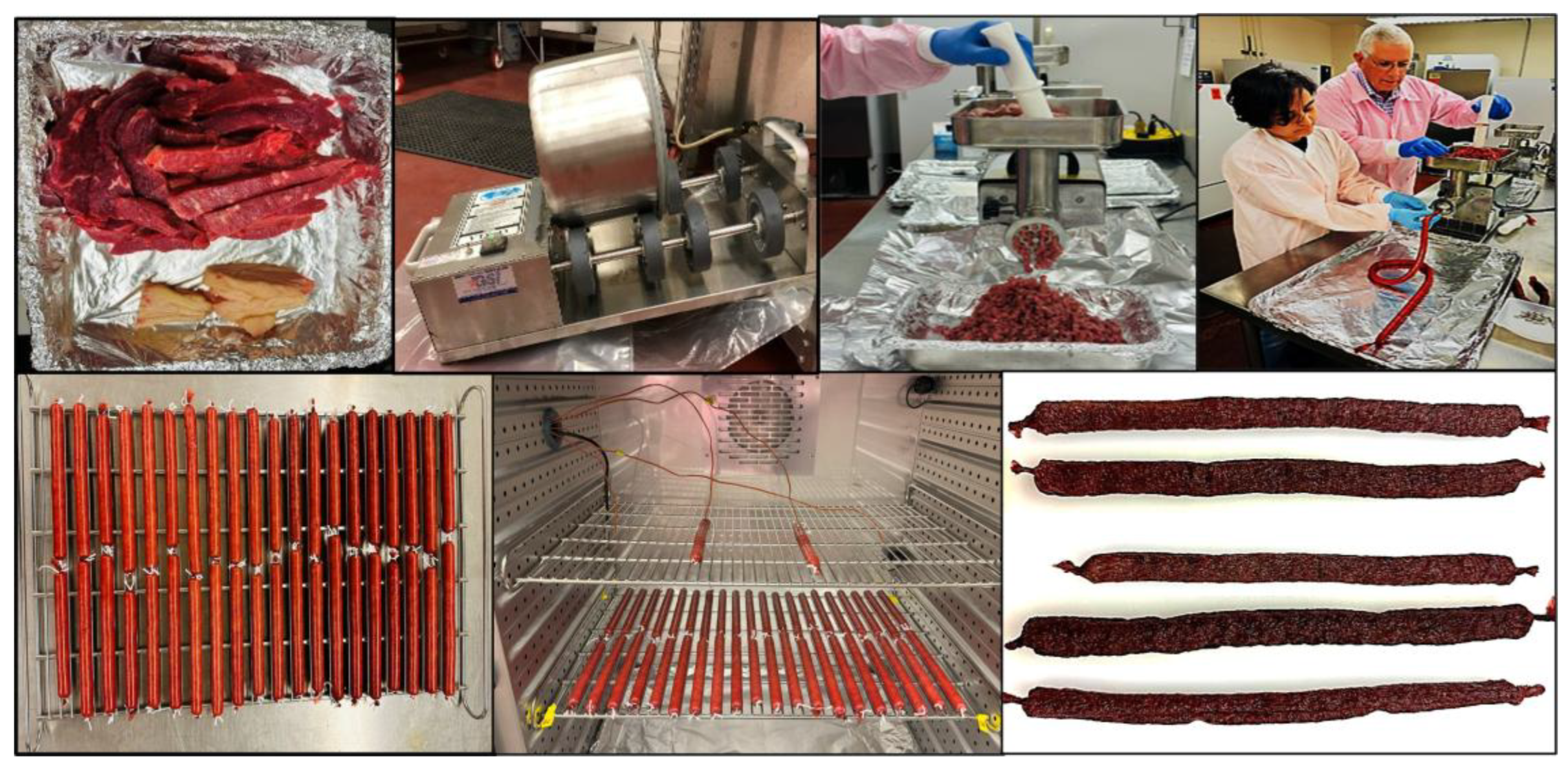 Preprints 175363 g002