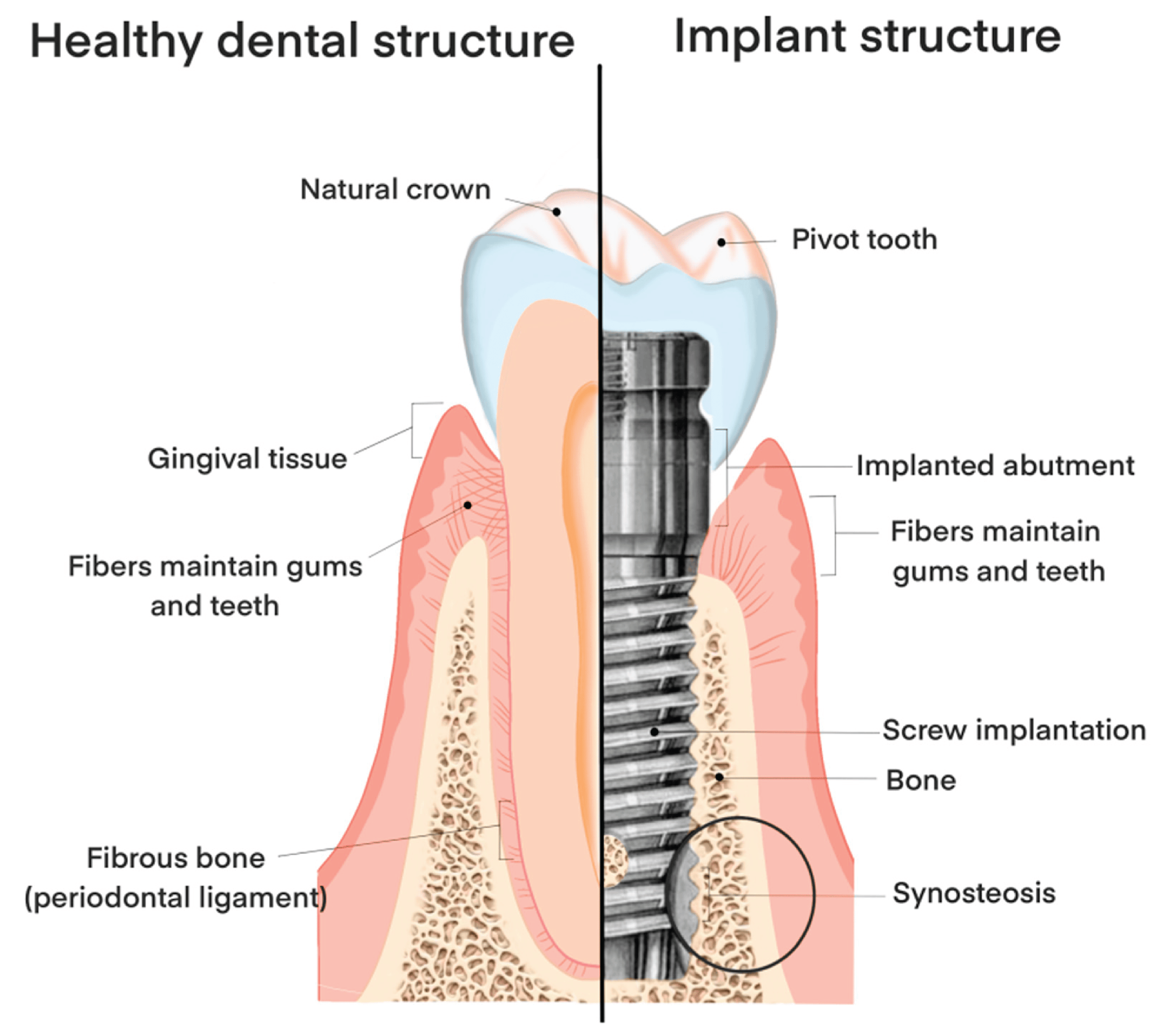 Preprints 174738 g001