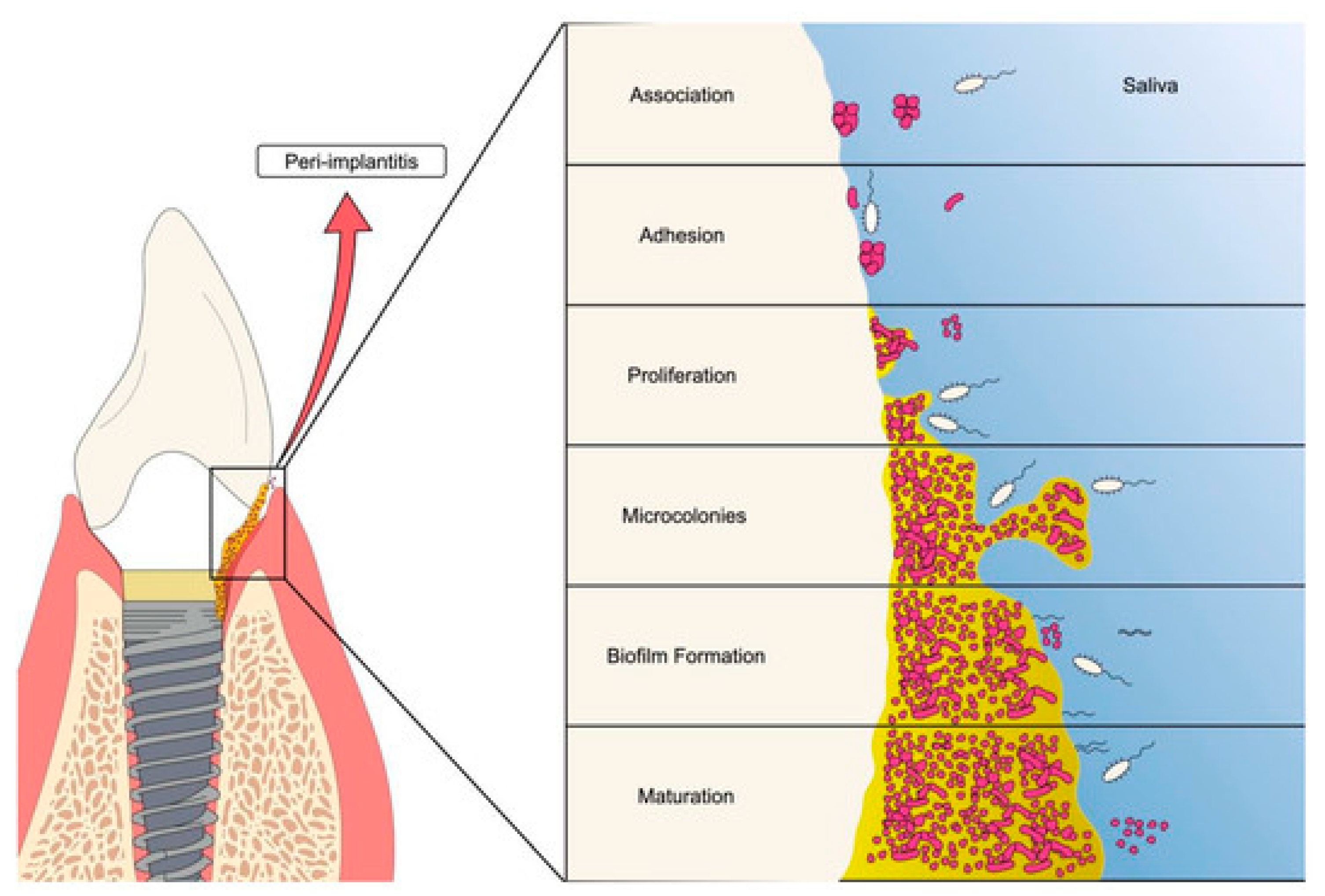 Preprints 174738 g004