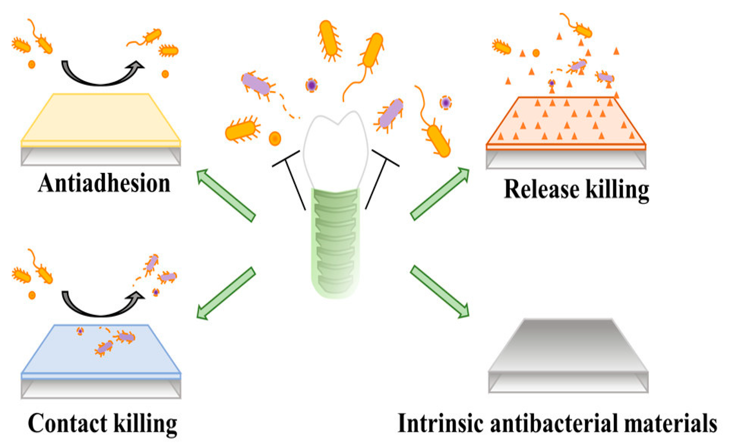 Preprints 174738 g005