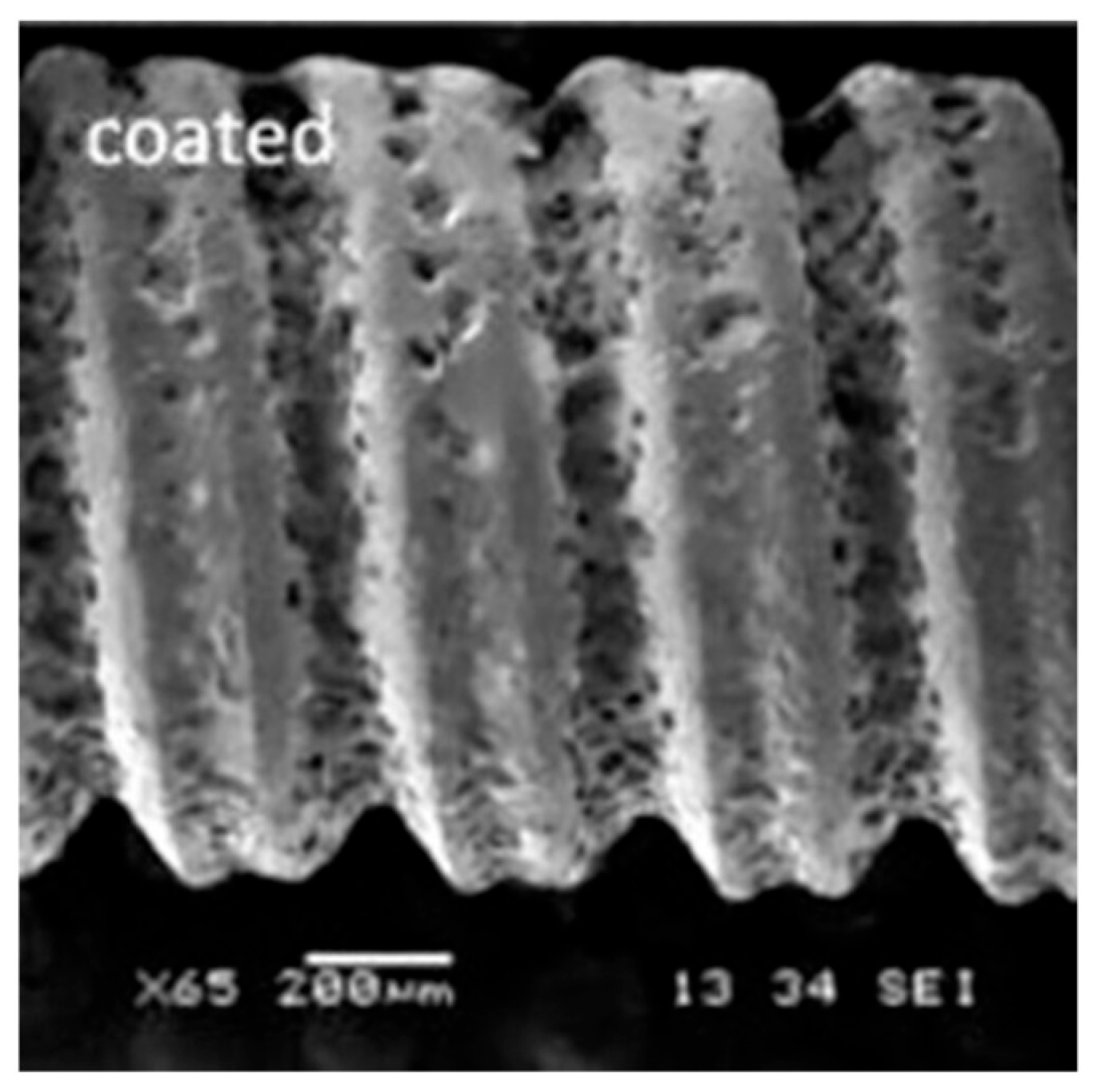 Preprints 174738 g009