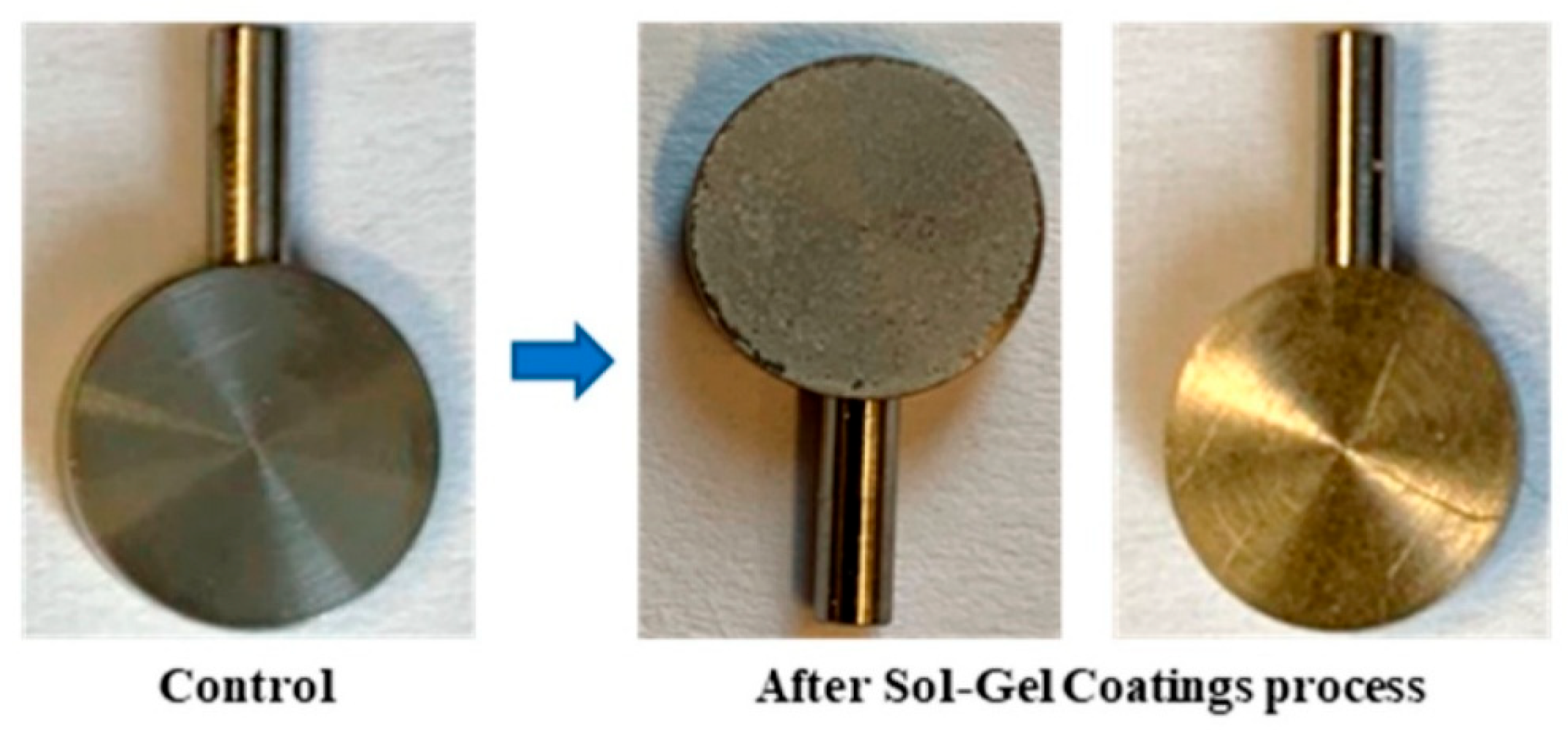 Preprints 174738 g013