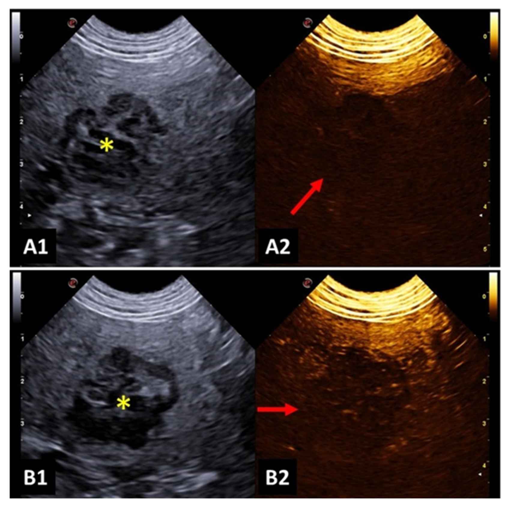 Preprints 91580 g003