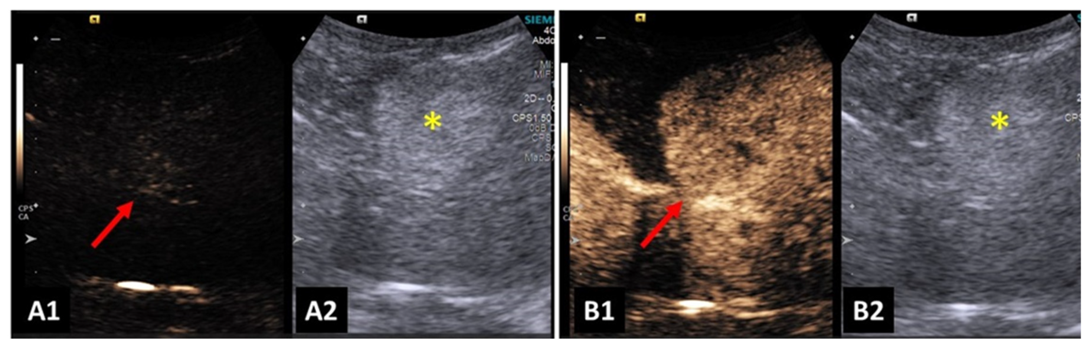 Preprints 91580 g004