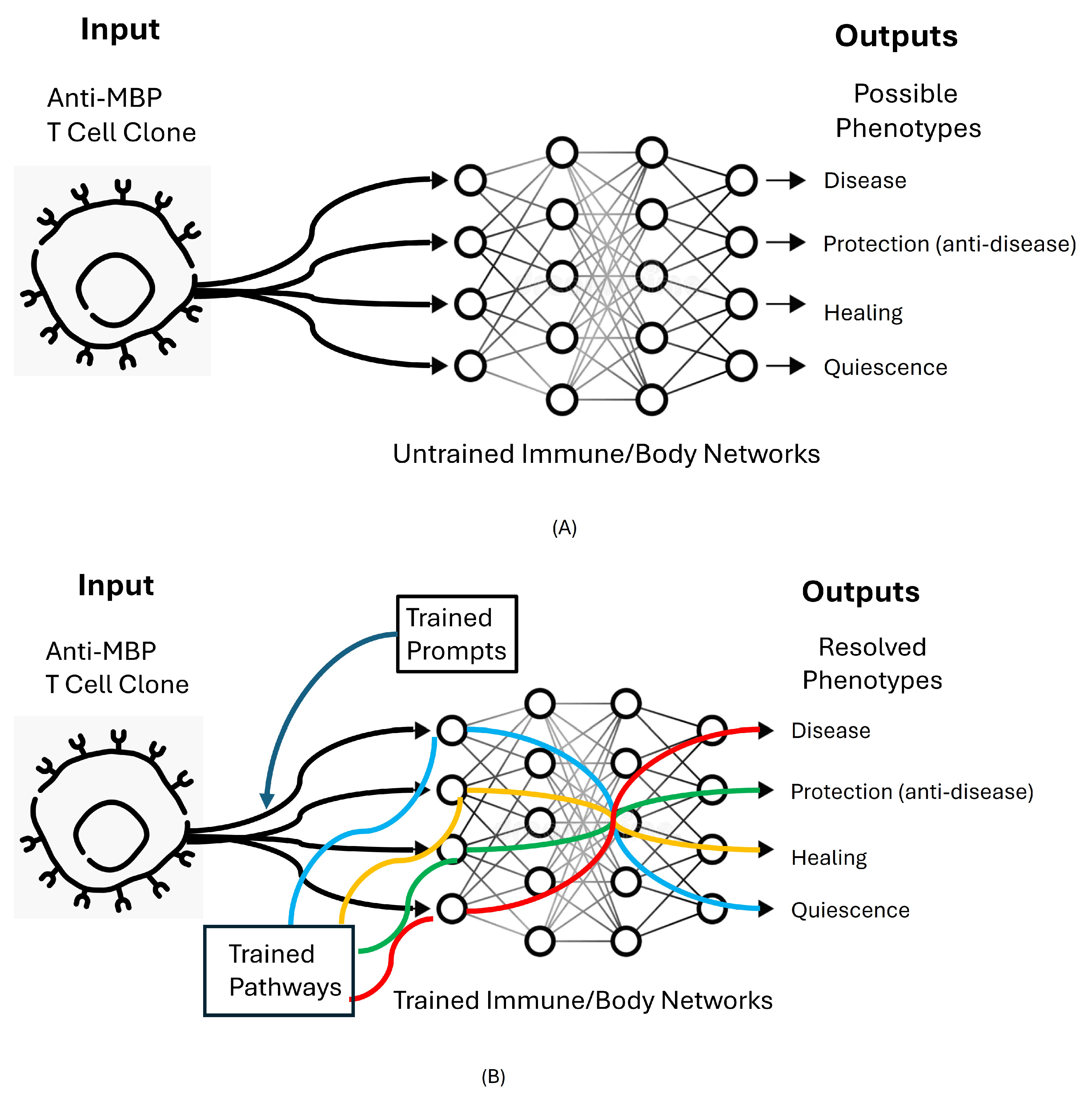 Preprints 158706 g002