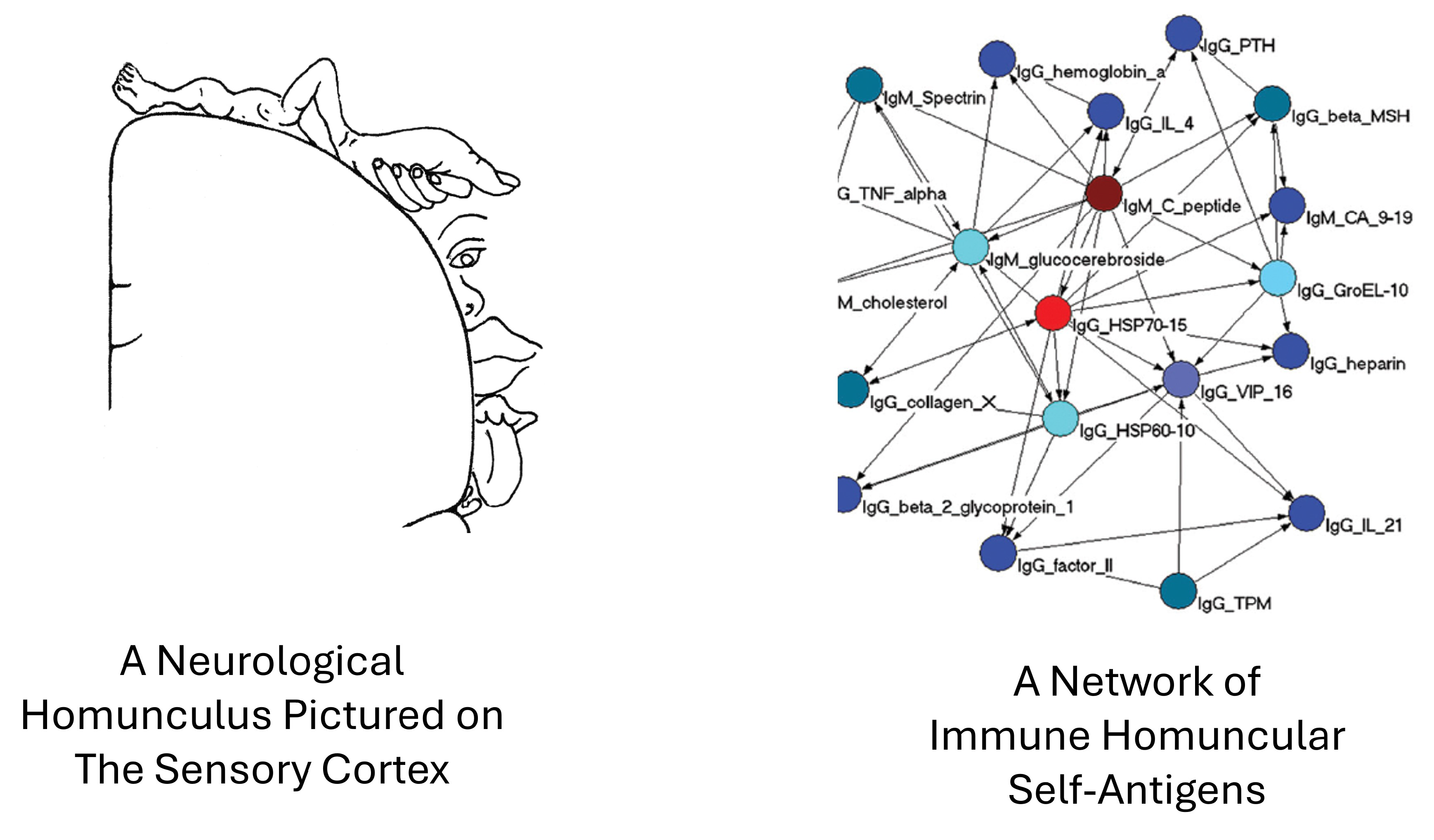 Preprints 158706 g004