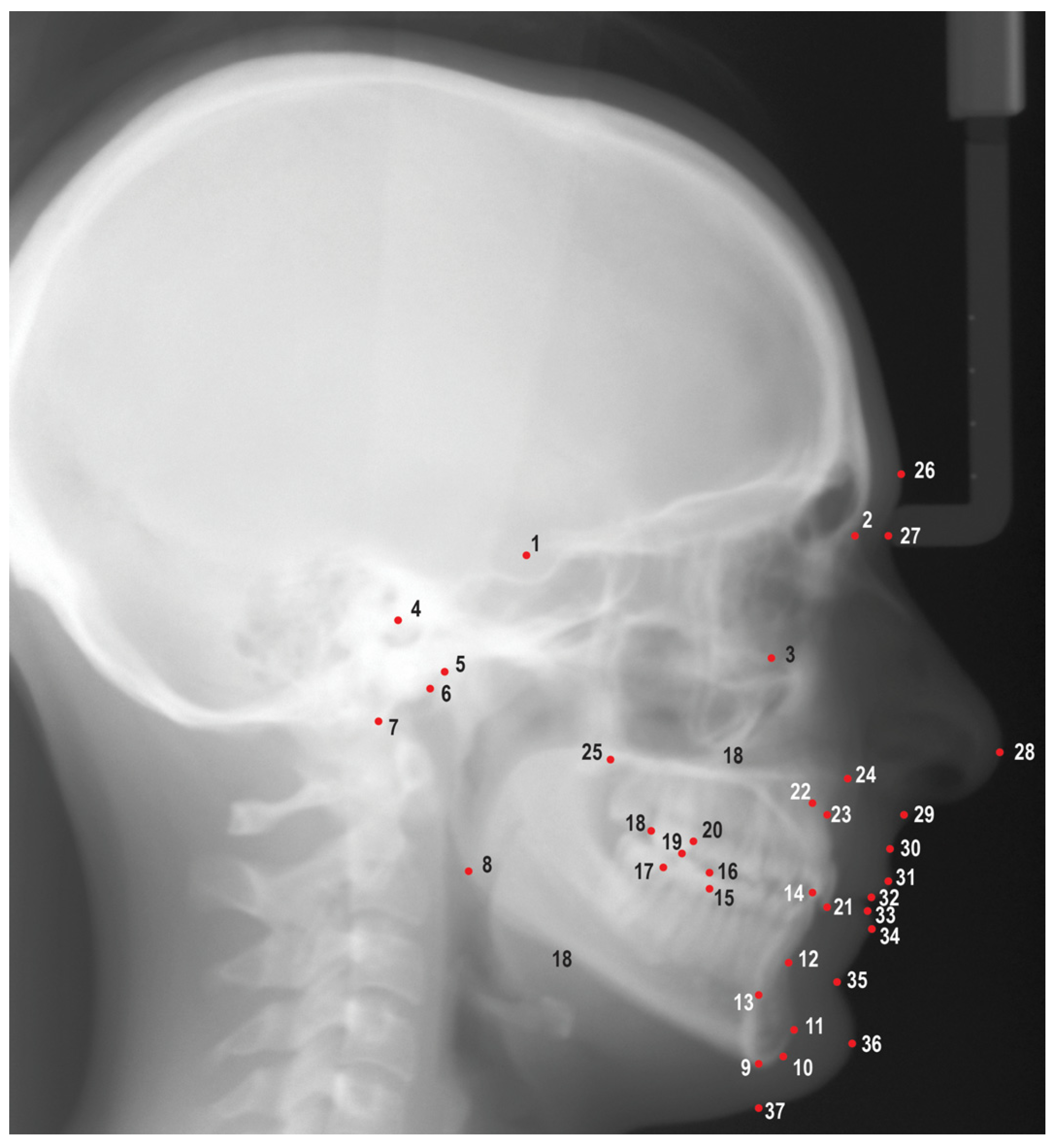 Preprints 78127 g001