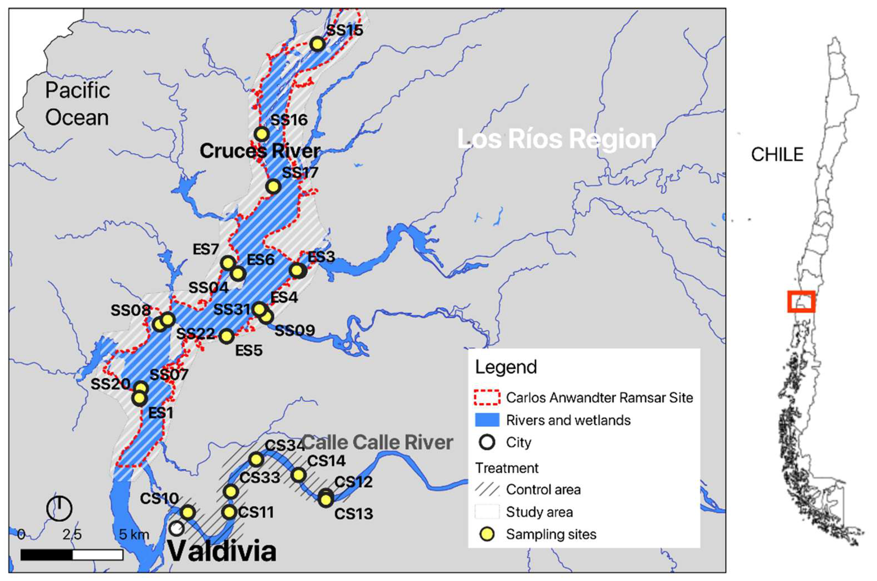 Preprints 187230 g001