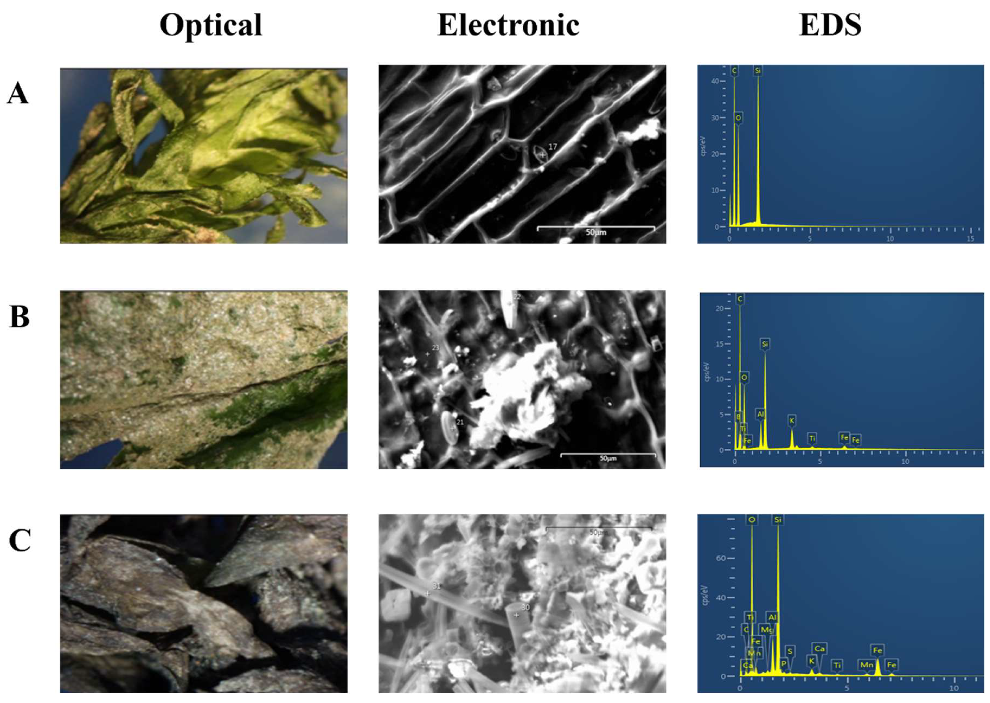 Preprints 187230 g005