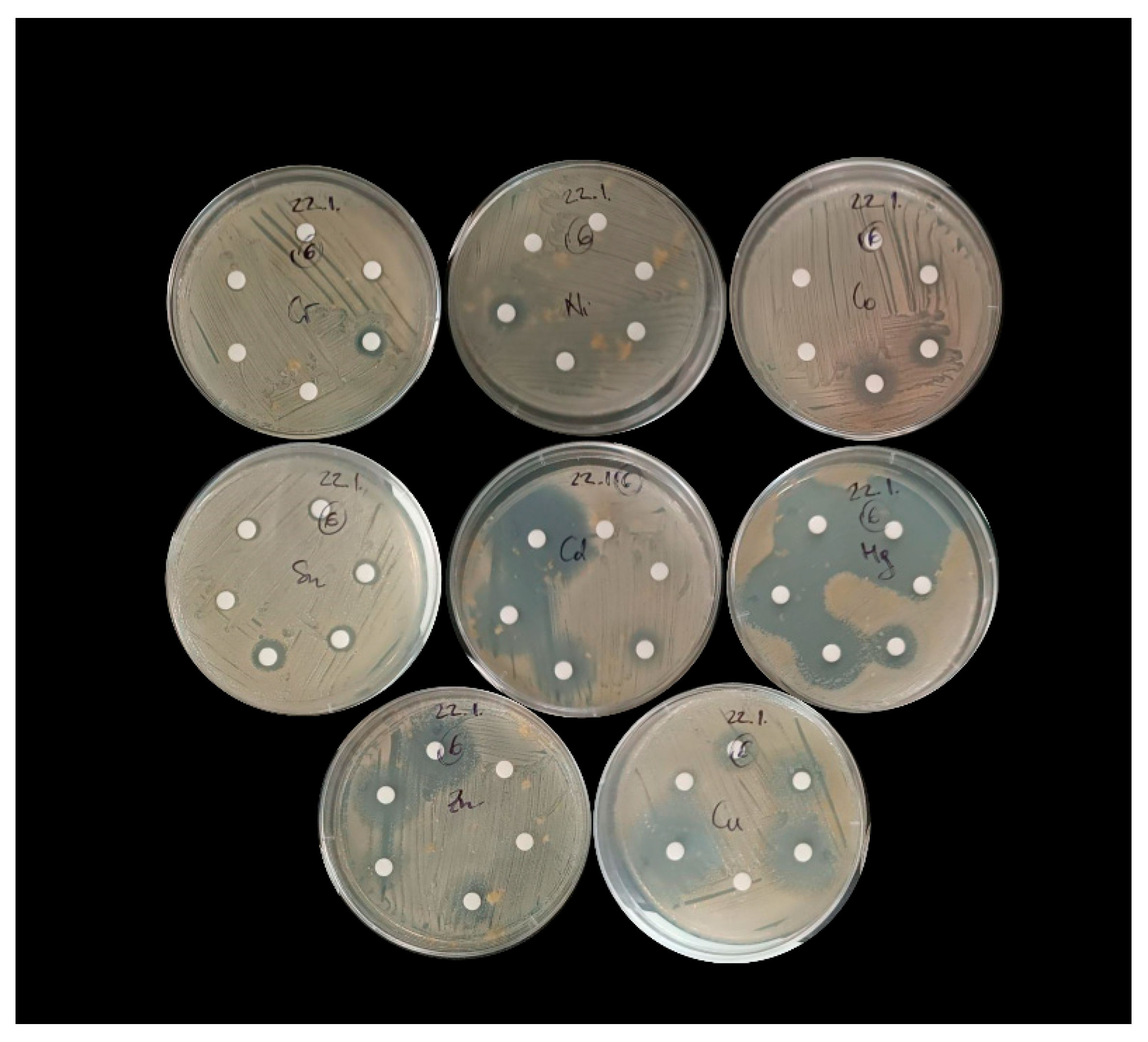 Preprints 175781 g002