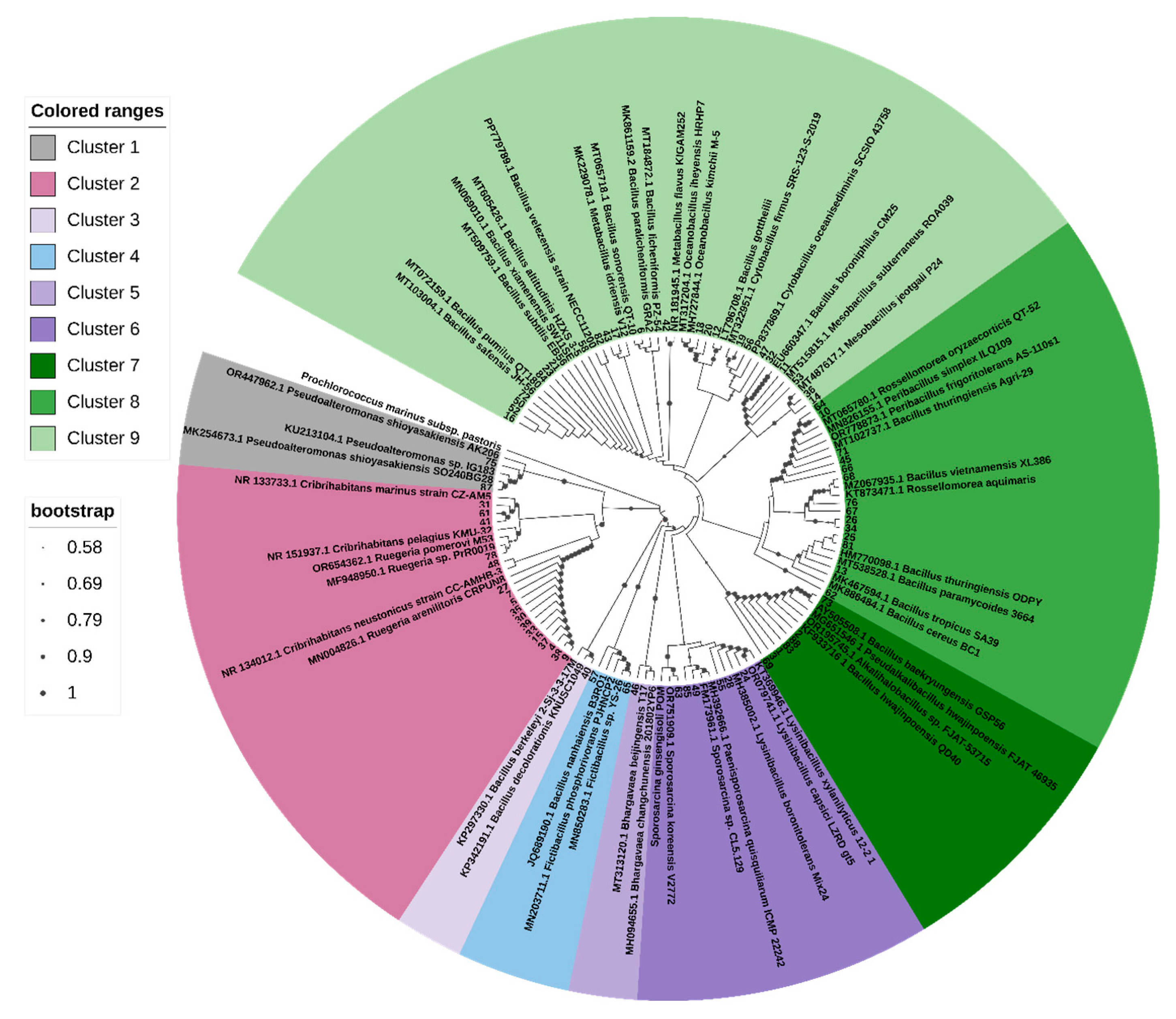 Preprints 175781 g005