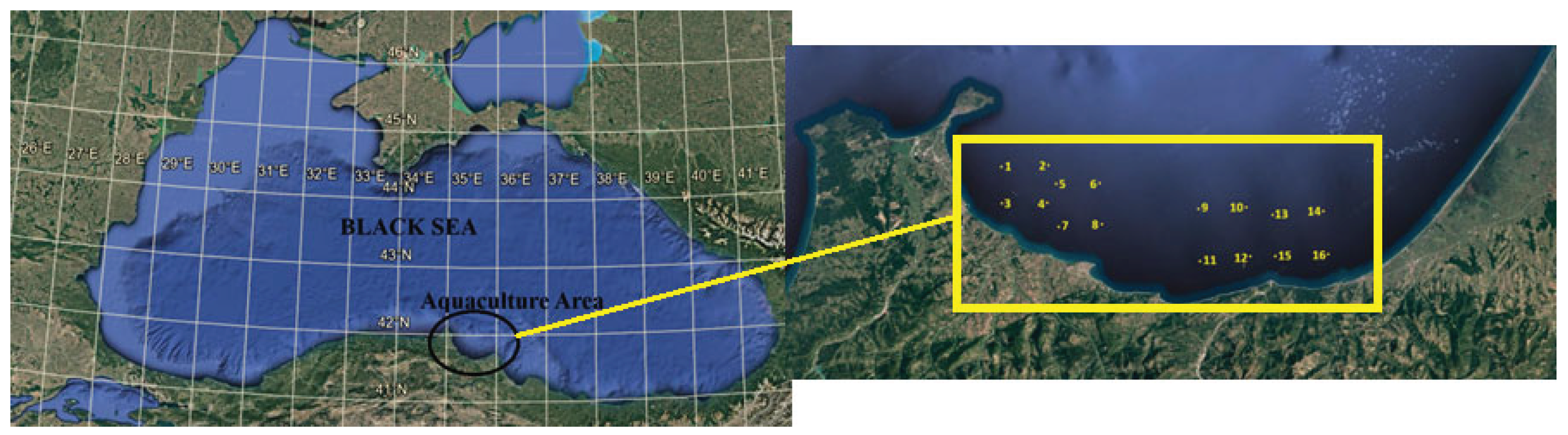 Preprints 165522 g001