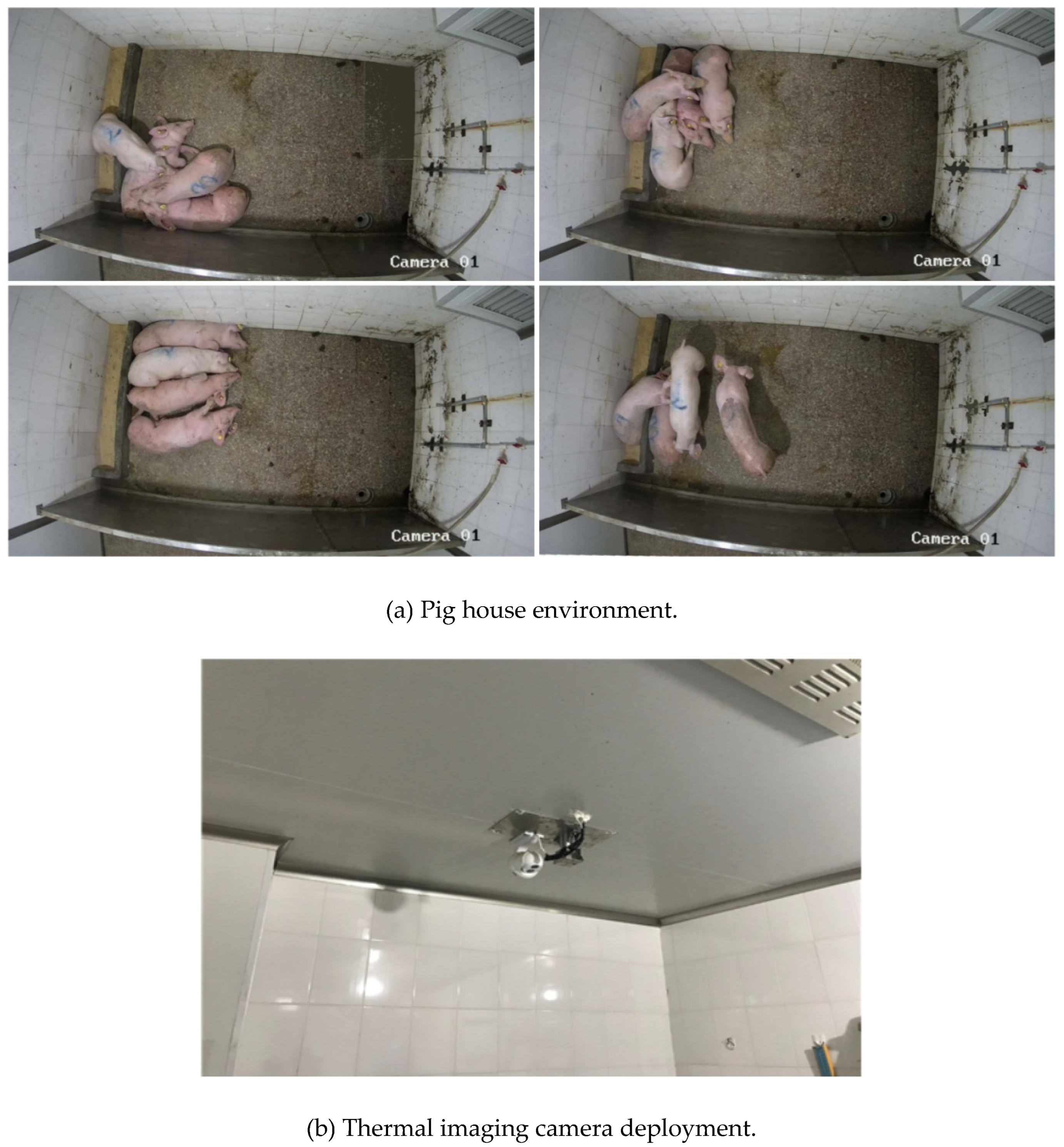 Preprints 164376 g001