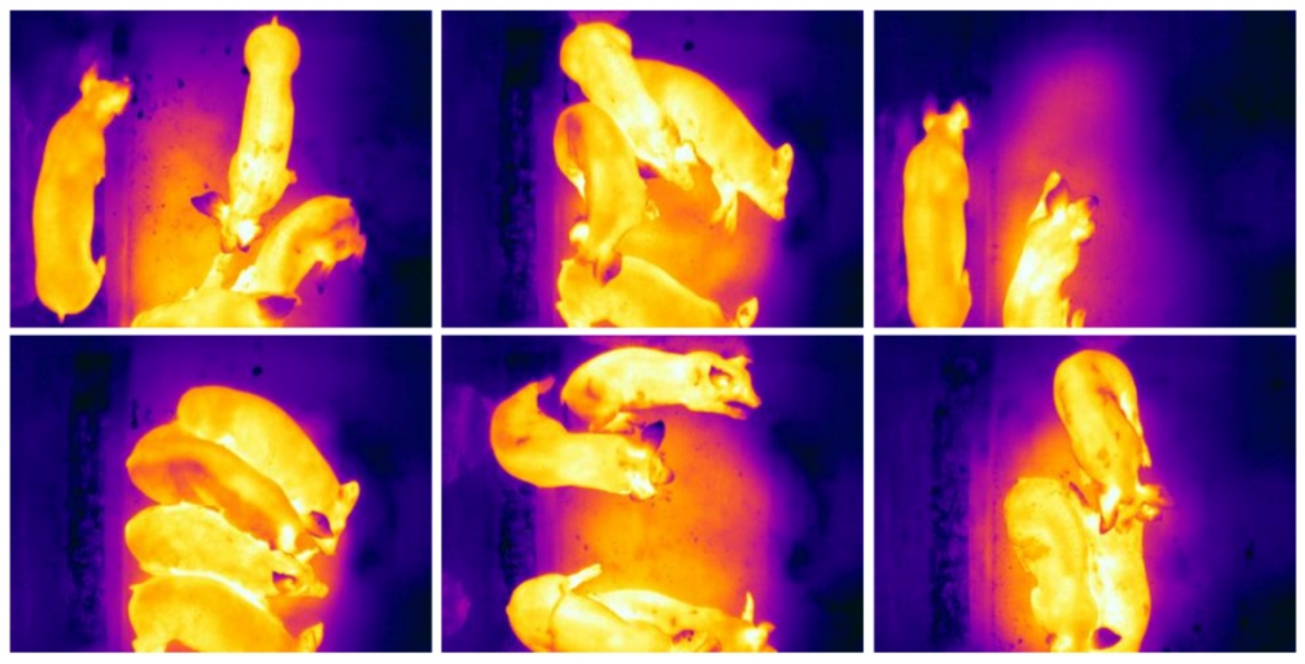 Preprints 164376 g002