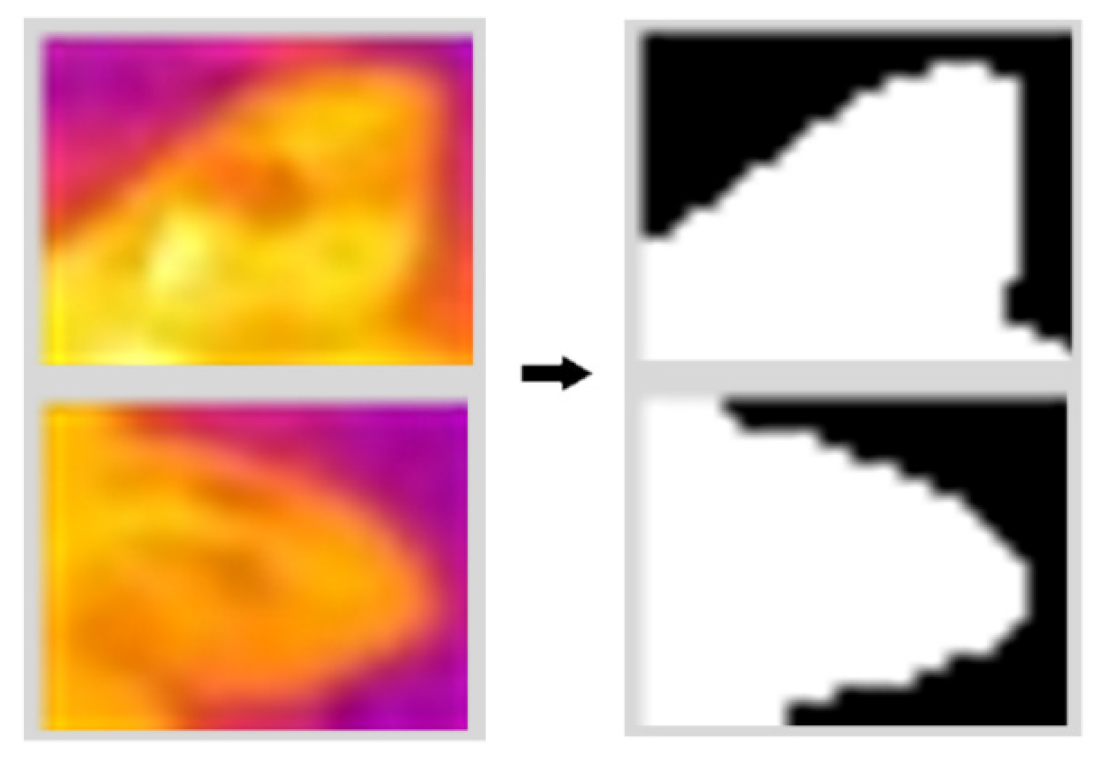 Preprints 164376 g009