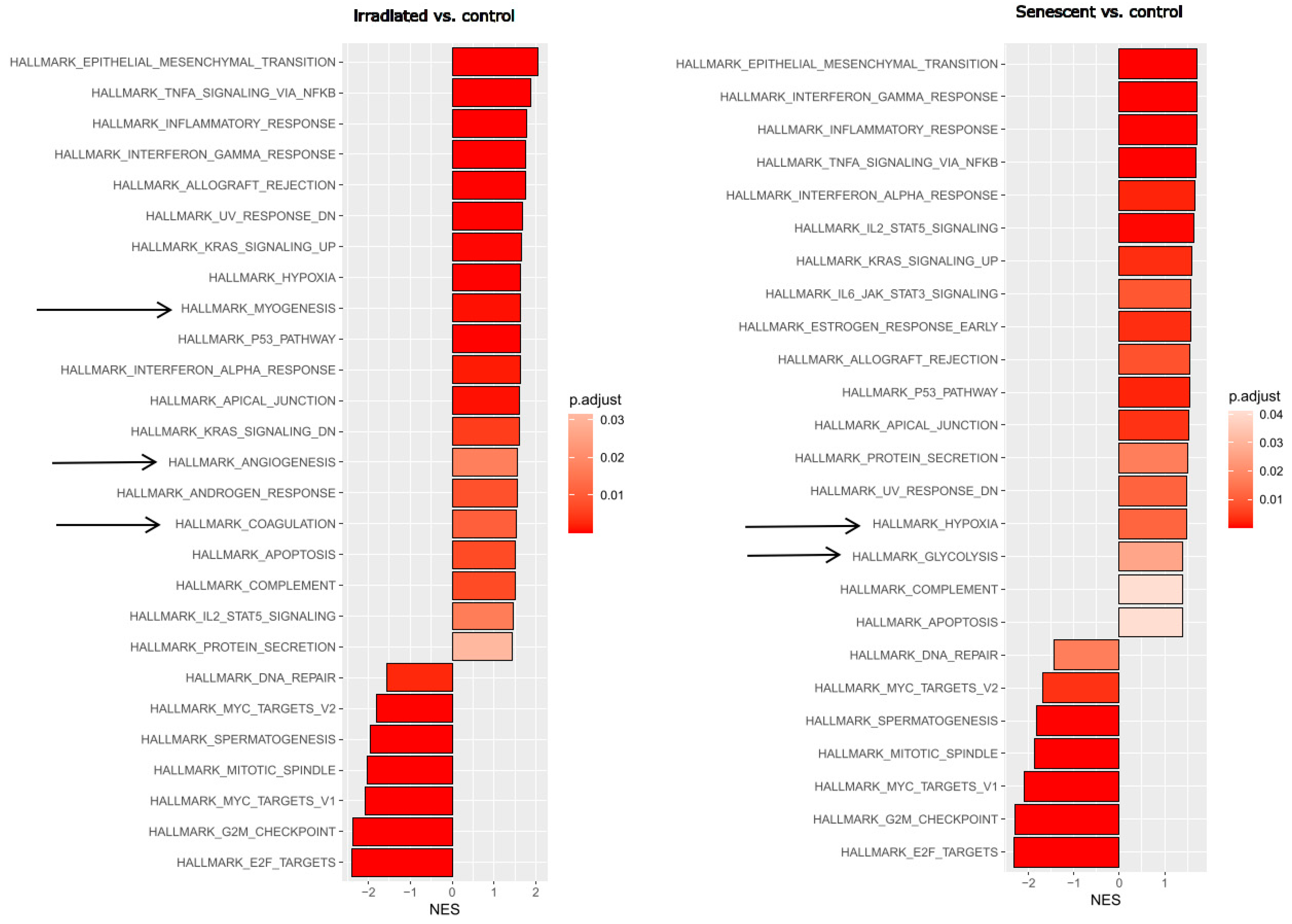 Preprints 155508 g001