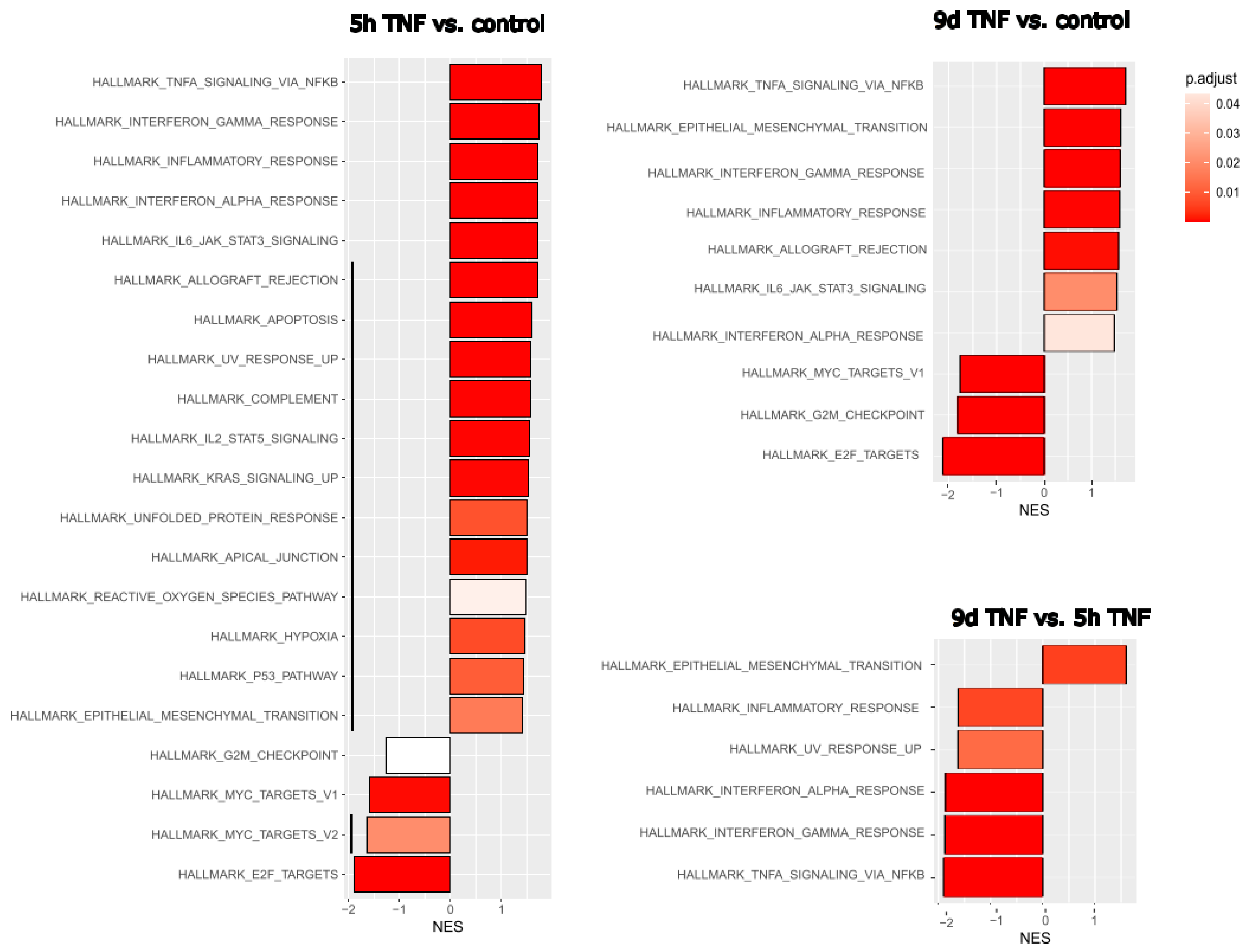 Preprints 155508 g002