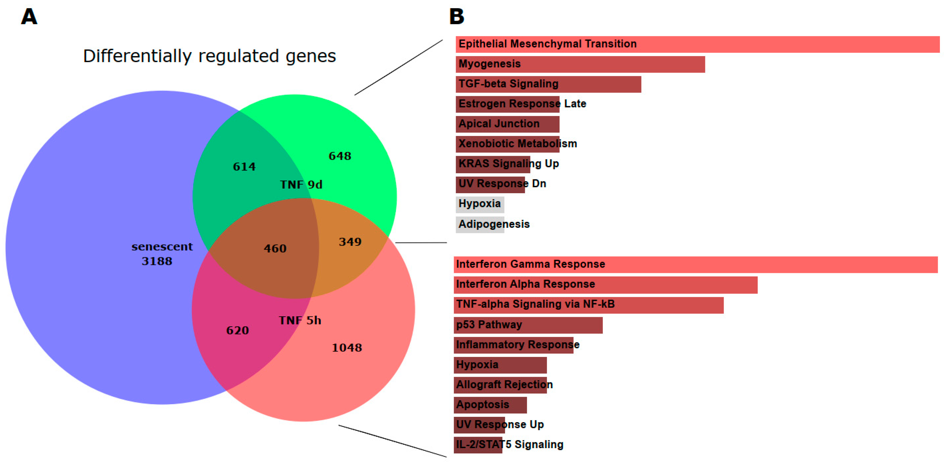 Preprints 155508 g003
