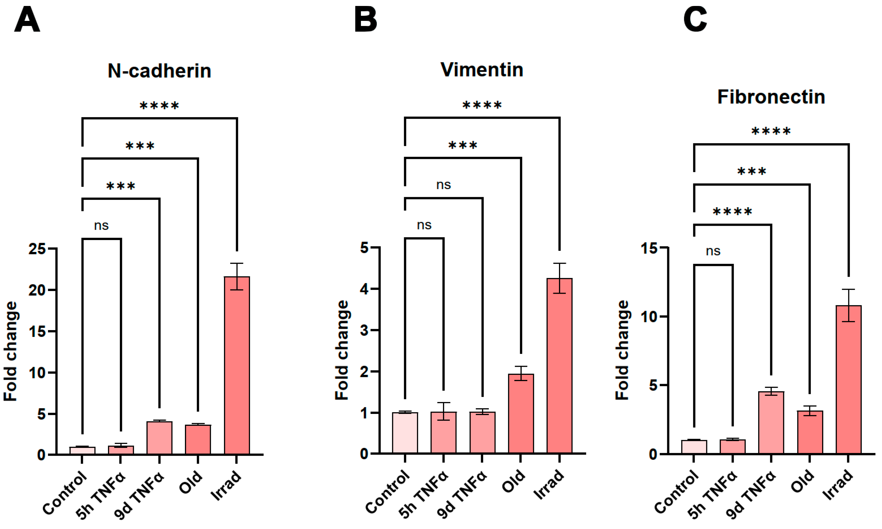Preprints 155508 g005