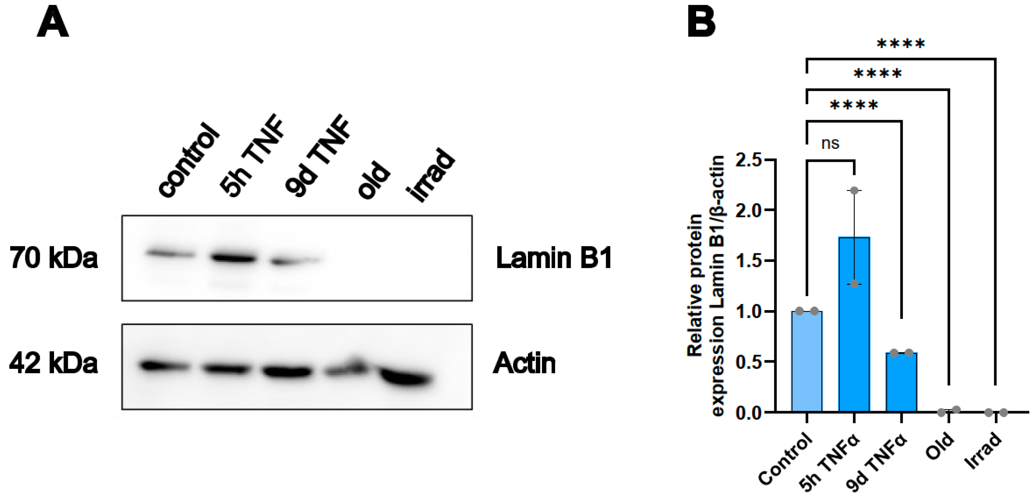 Preprints 155508 g006