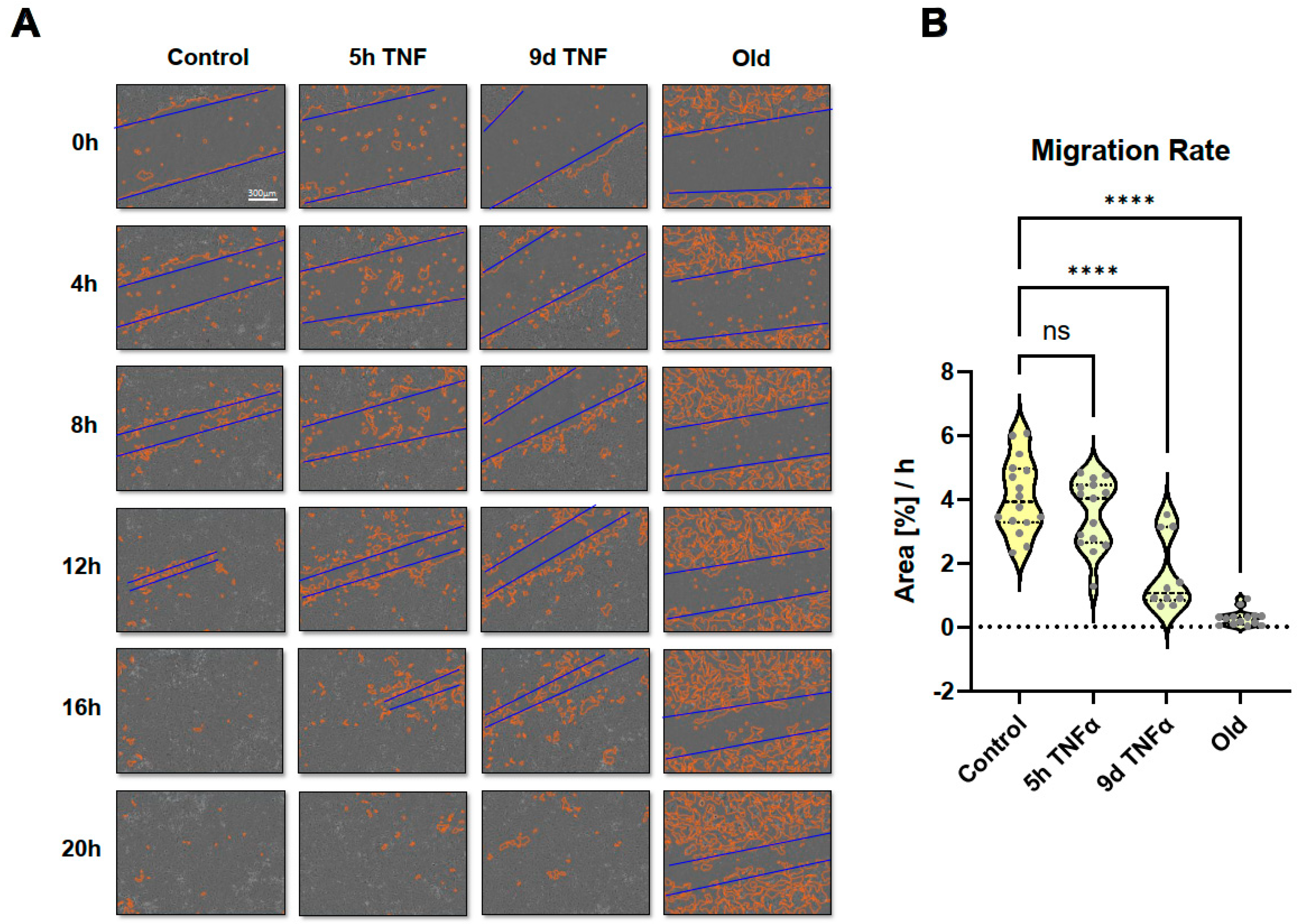 Preprints 155508 g007
